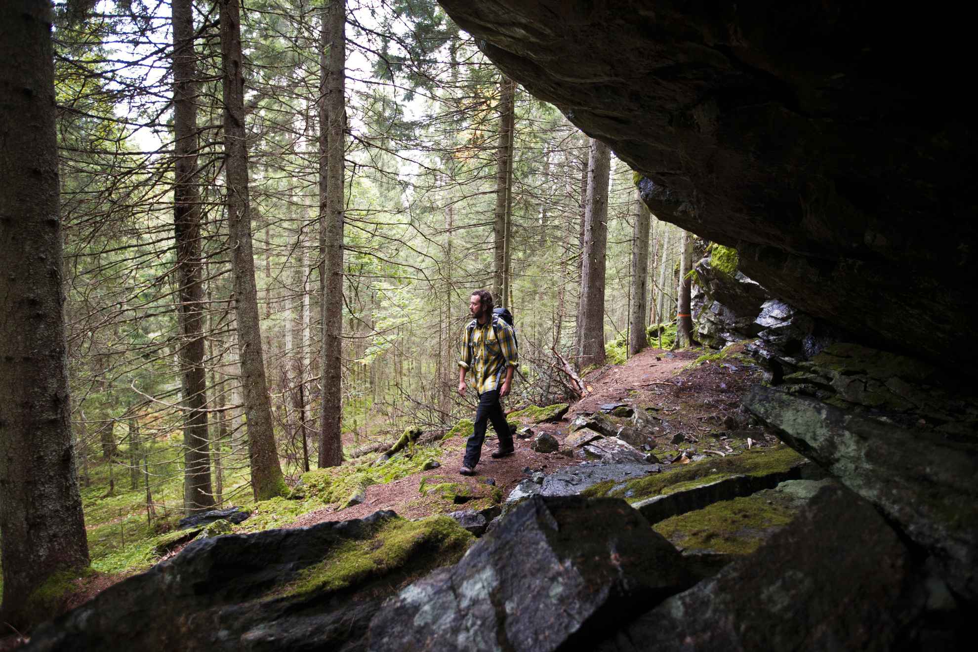 Eine Person wandert entlang eines Felsens durch den Wald.
