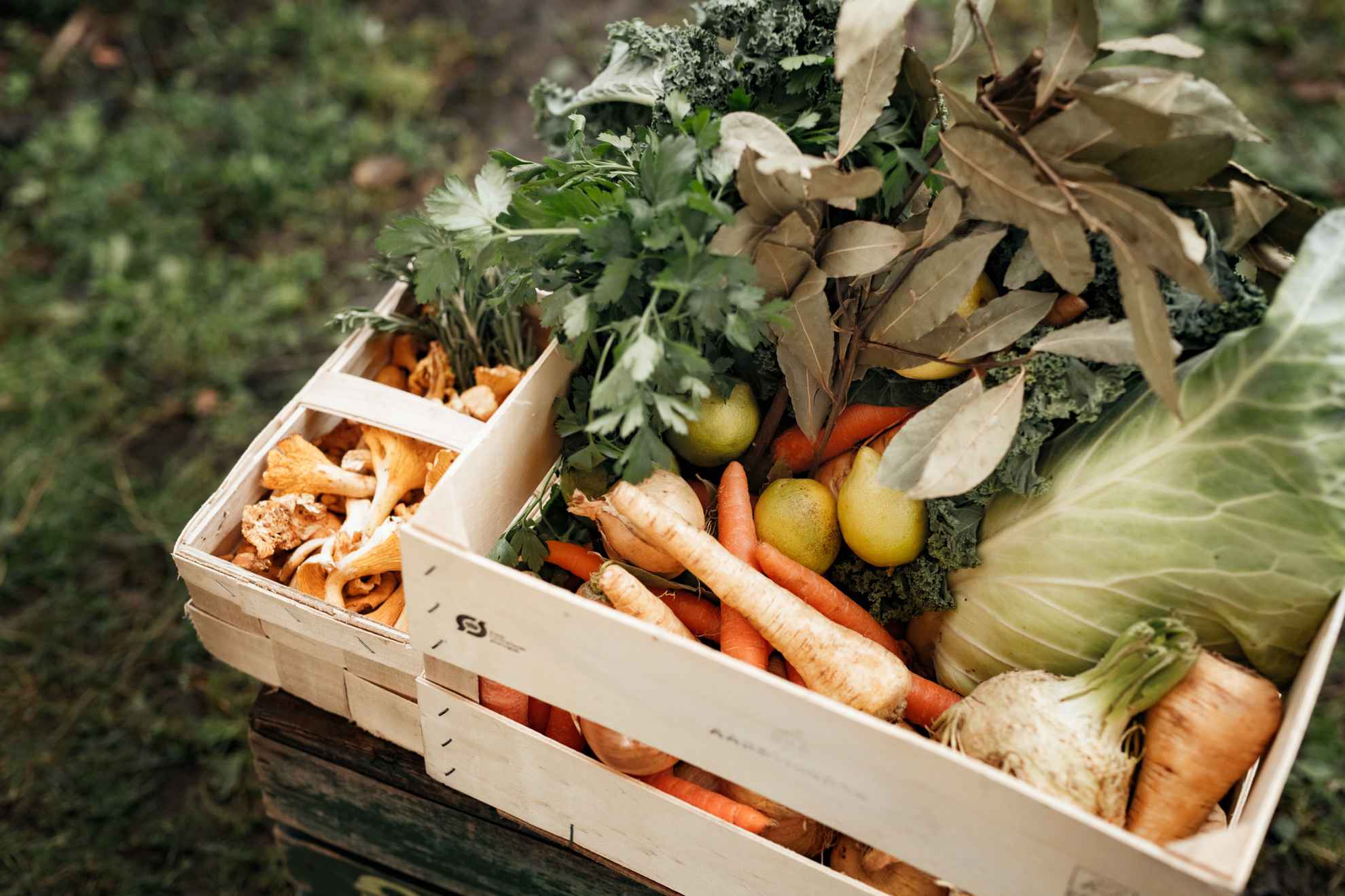 Ein Korb mit saisonallem Gemüse.