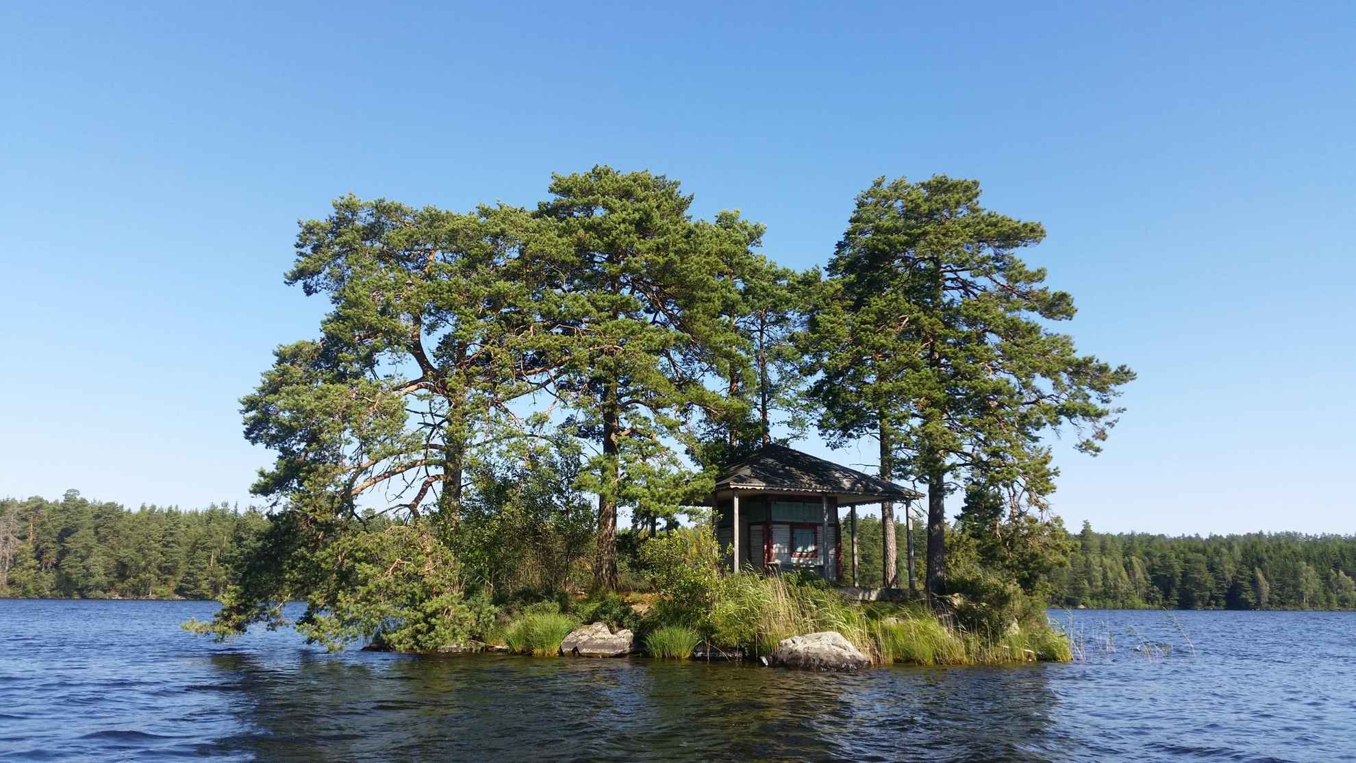 Eine bewilderte Insel auf welcher sich eine Hütte beifndet. Die Insel ist umgeben von einem See und einem Waldufer.