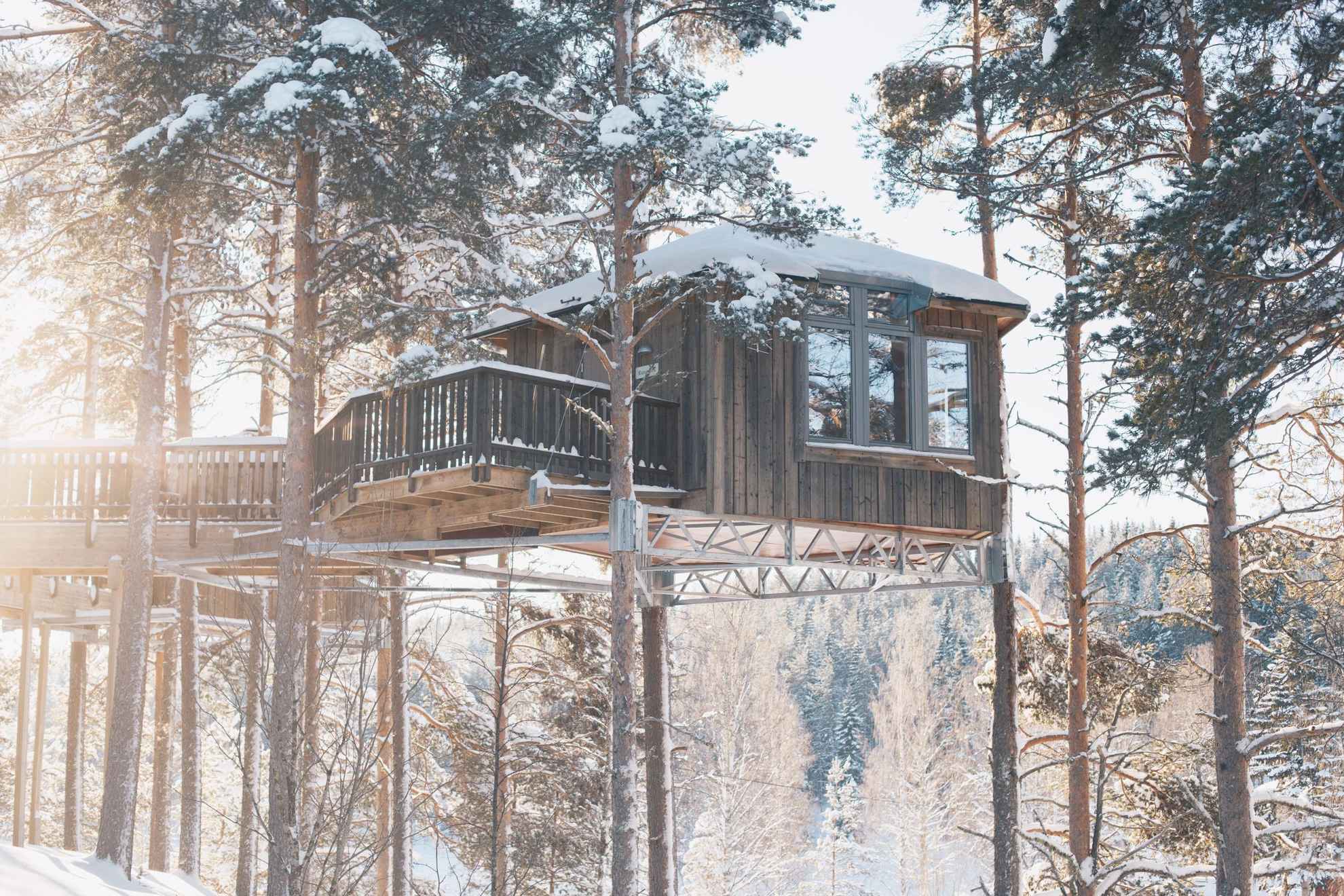 Ein schneebedecktes Baumhaus mit einer großen Terrasse umgeben von Kiefern, durch welche Sonnenstrahlen fallen.