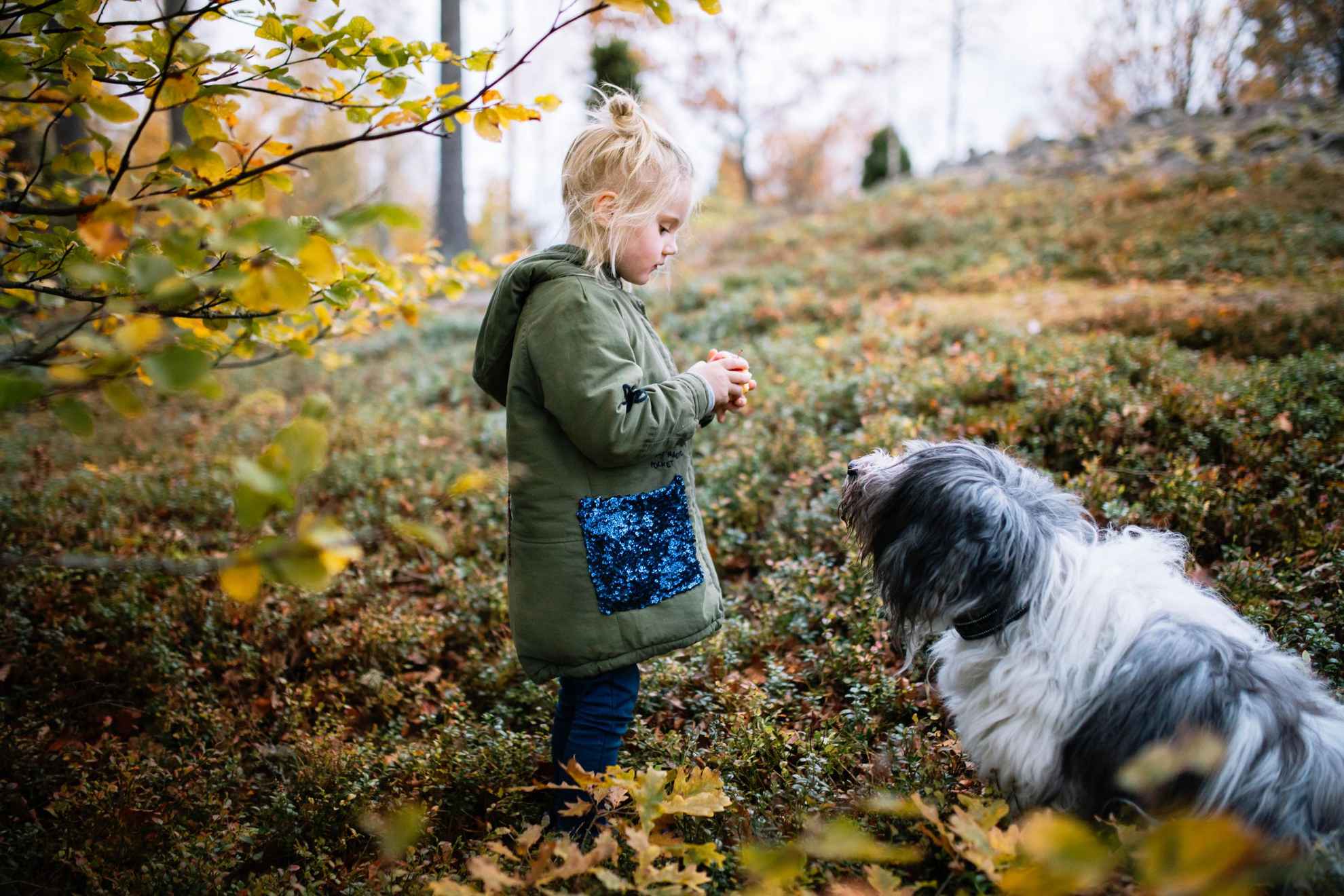 Ein Mädchen steht vor einem Hund.