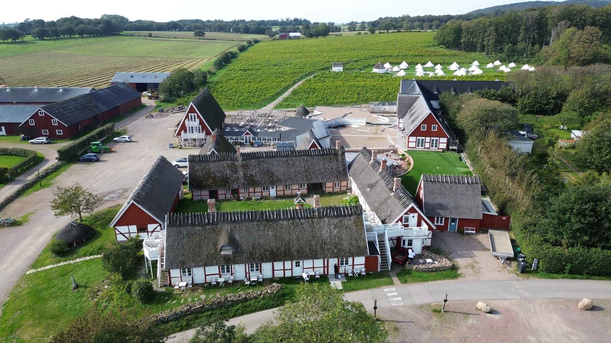 Arilds Vineyard with red and white houses, grapevines in the background, and glamping tents among them.