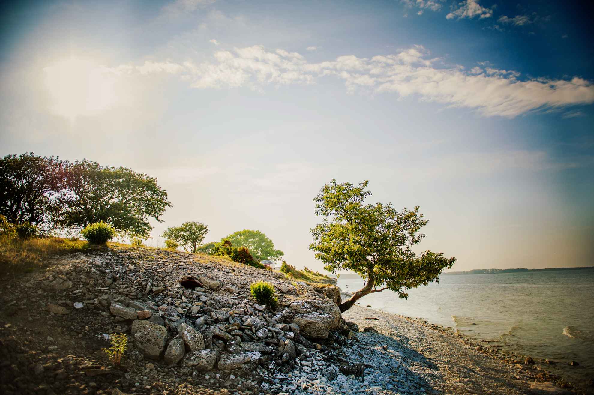 Die Küste von Fårö mit felsigem Strand und kleinen, vom Wind verwehten Bäumen.