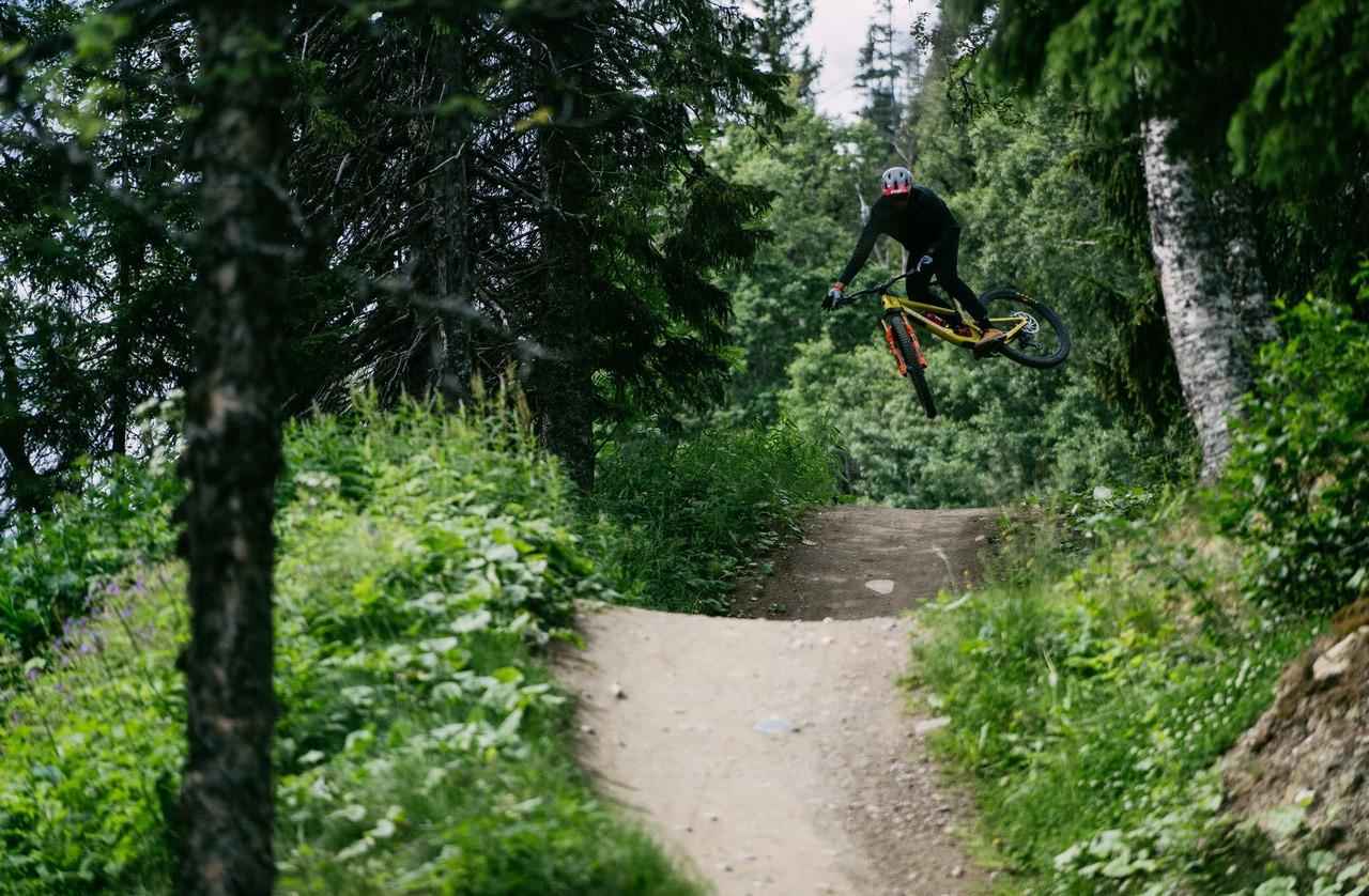 Eine Person auf einem Mountainbike fliegt beim Radfahren durch die Luft über einen Pfad im Wald.