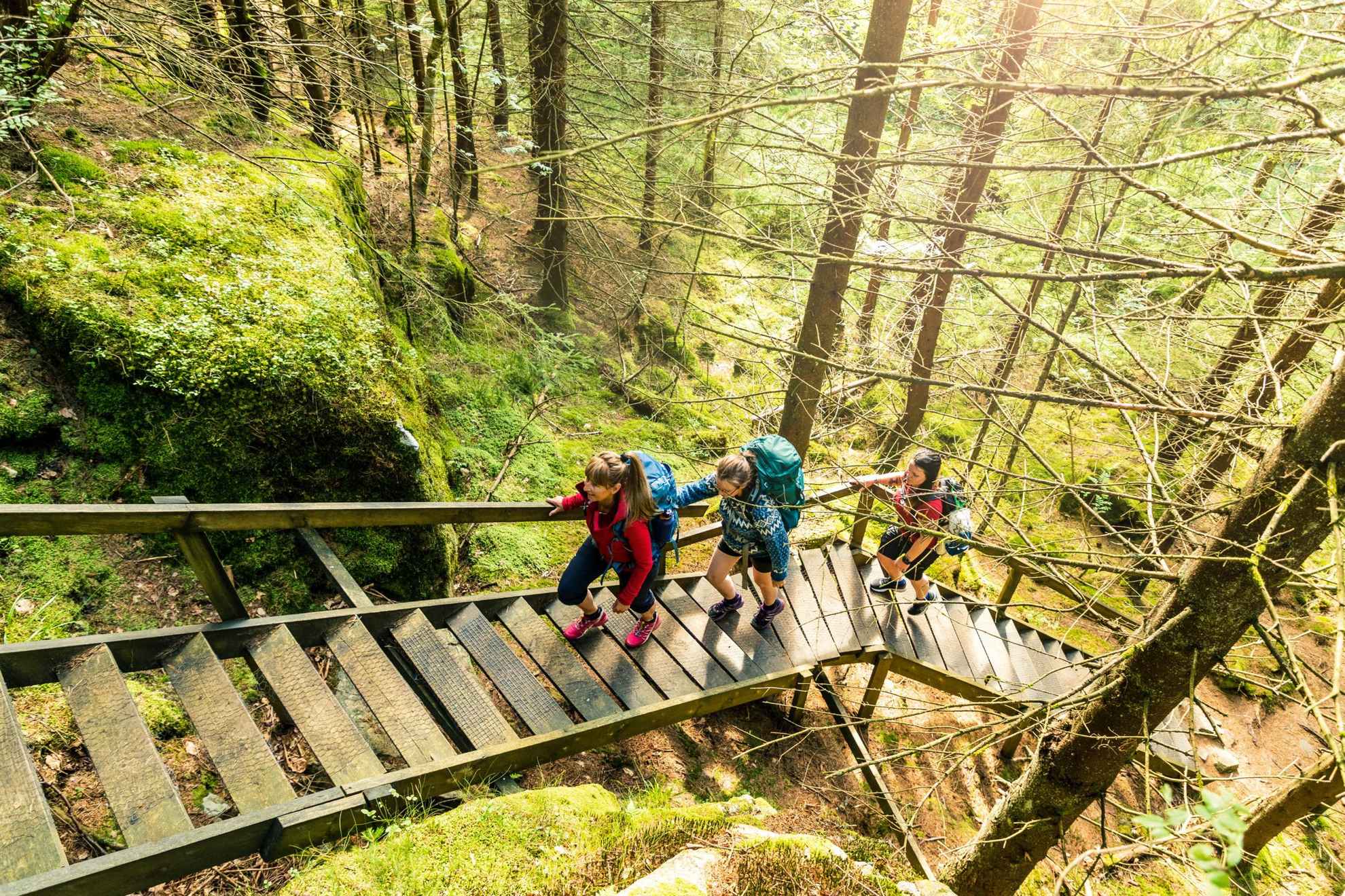 Drei Personen mit Rucksäcken gehen eine Holztreppe in einem Wald hinauf.