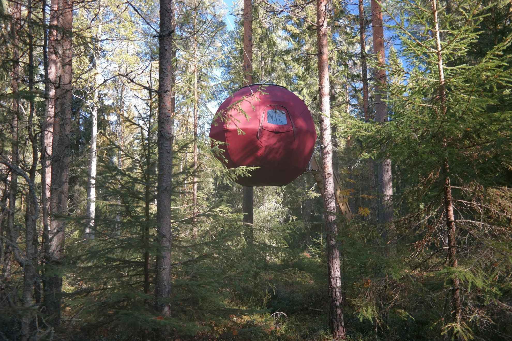 Ein Baumhaus ähnlich der Form und roten Farbe des Supermondes hängt von zahlreichen Bäumen befestigt im Wald.