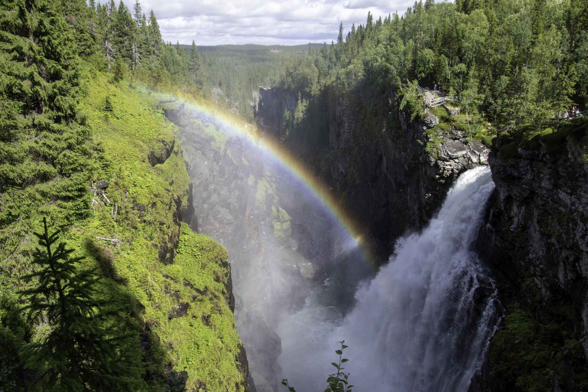 Ein Wasserfall rauscht eine Klippe im Wald hinunter. Im Wasserdampf des Wasserfalls ist ein Regenbogen zu sehen.