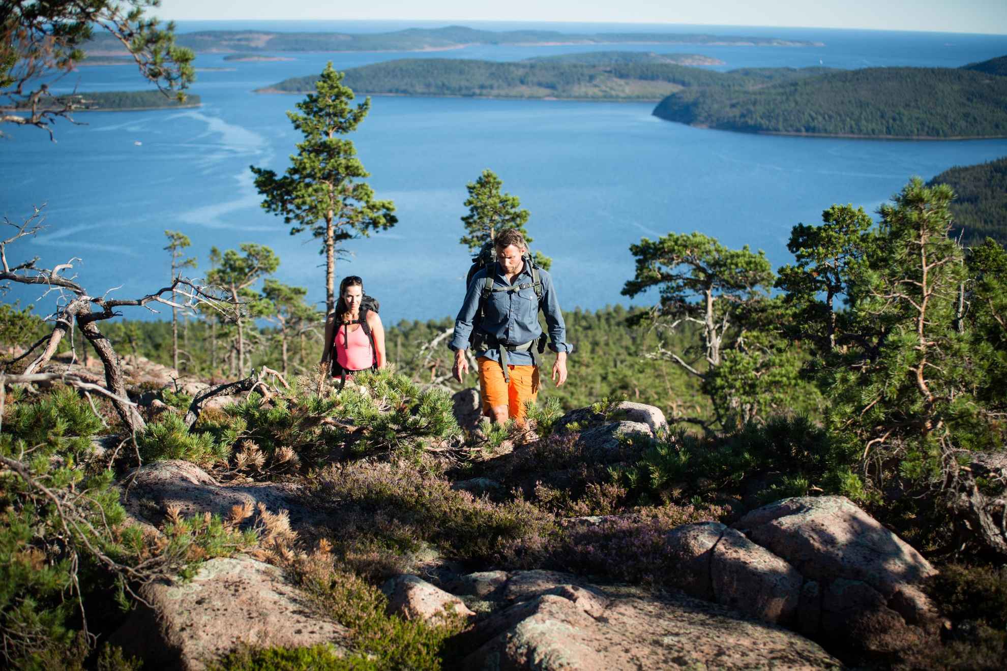 A man and a woman hiking up one of the slopes of the High Coast in Sweden, with the forest-rich landscape and the Baltic Sea in the background.