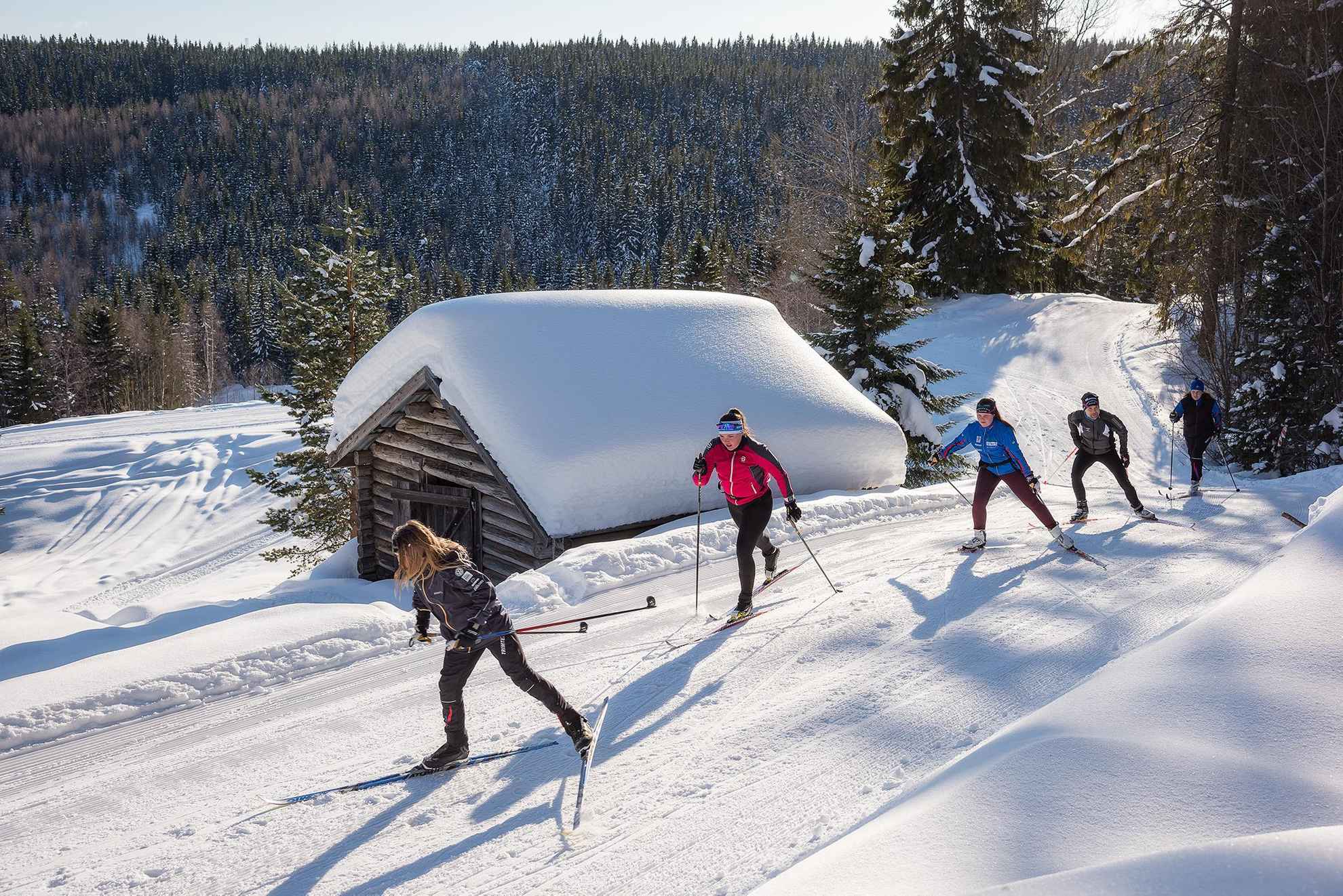 Fünf Personen fahren an einem sonnigen Wintertag Langlaufski einen Hügel hinauf.