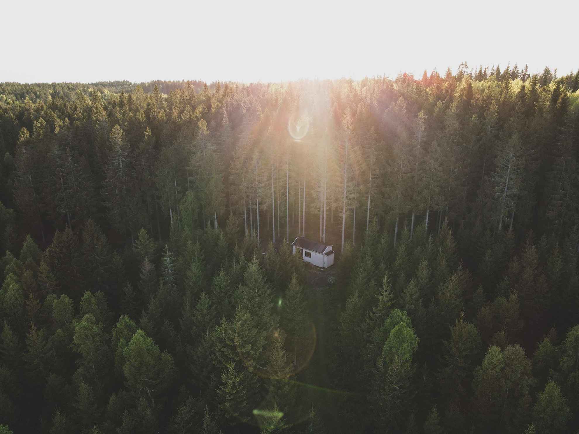Eine Hütte inmitten des umliegenden Waldes aus der Vogelperspektive.Inforest in Westschweden