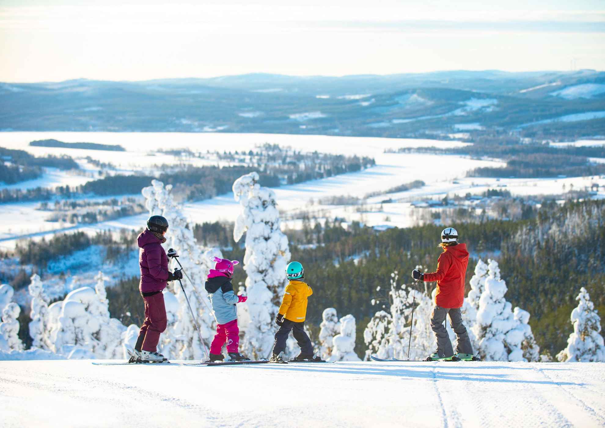 Zwei Kinder und zwei Erwachsene in Skikleidung stehen auf ihren Skiern am oberen Ende einer Skipiste. Im Hintergrund sind schneebedeckte Bäume und Berge des Skigebiets Järvsöbacken in Schweden zu sehen.