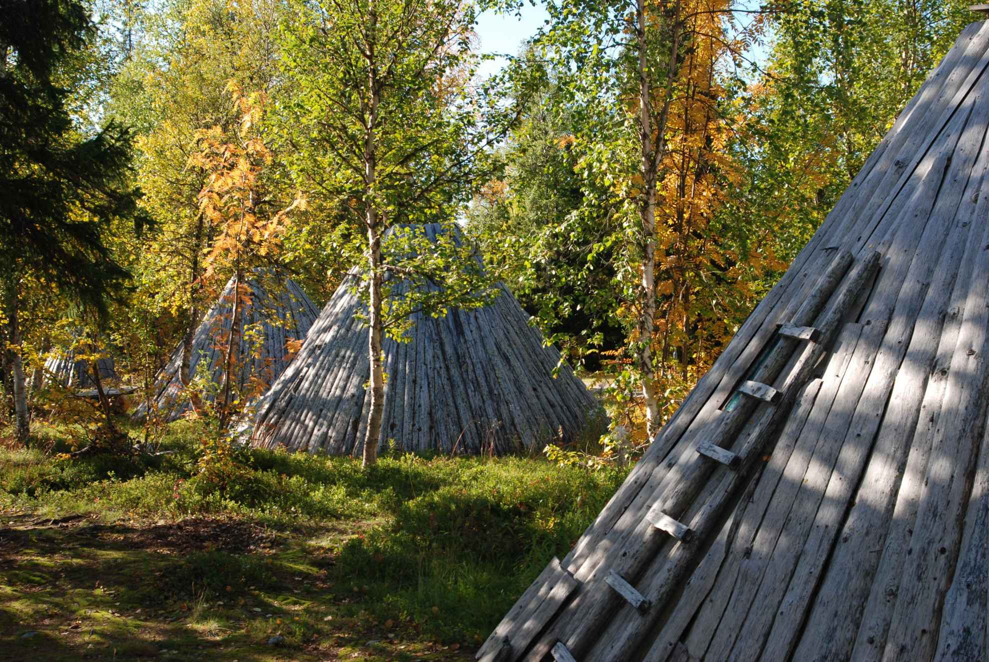 Drei Holzhütten, umgeben von Bäumen mit Herbstfarben. Die nächstgelegene Hütte hat eine Holzleiter an der Außenseite.