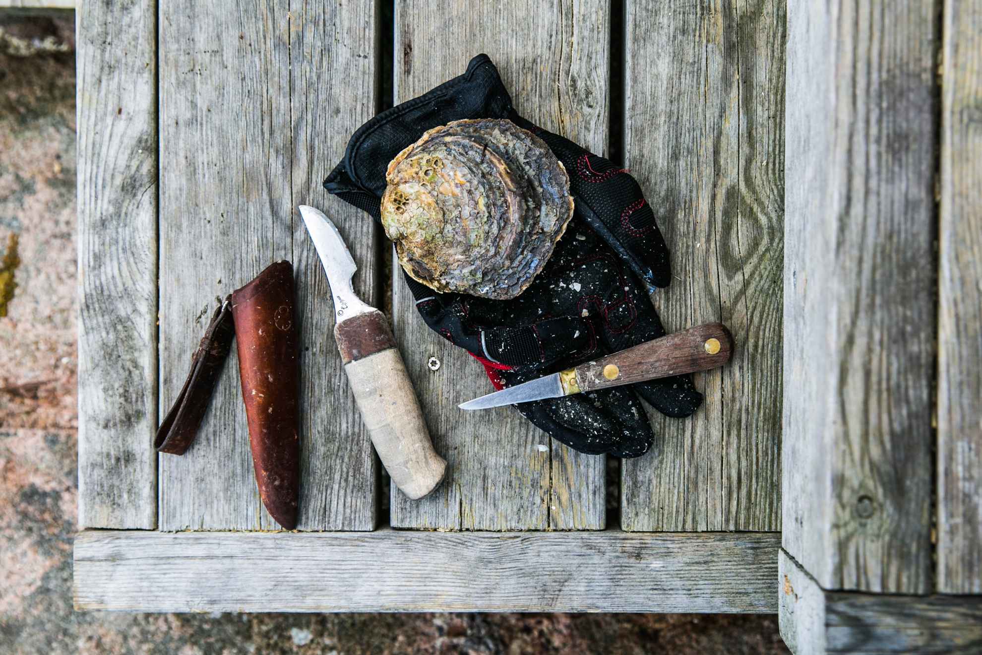 On a wooden table lies an oyster along with a glove two knives.