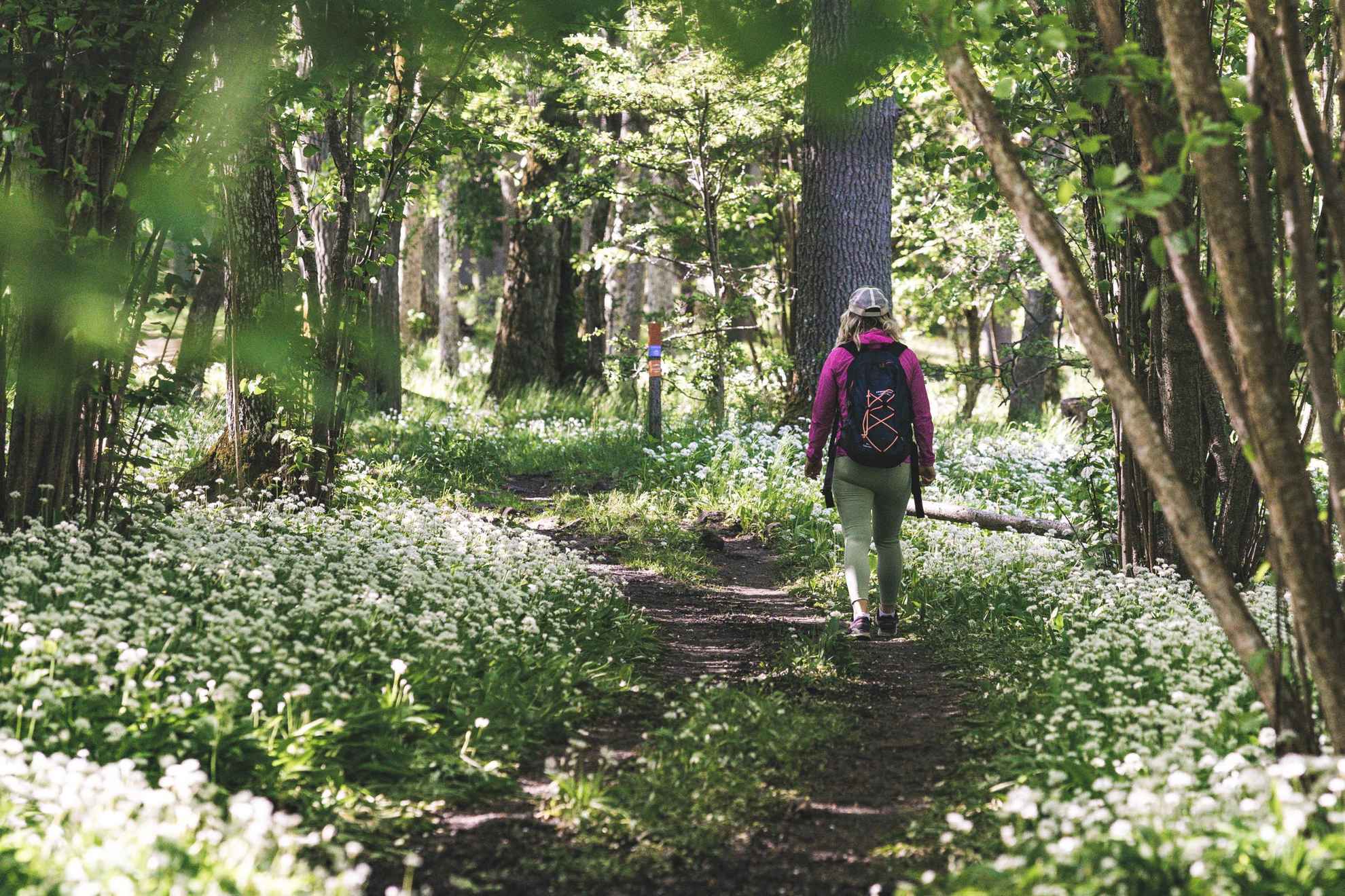 Eine Frau mit Rucksack wandert in einem Wald.