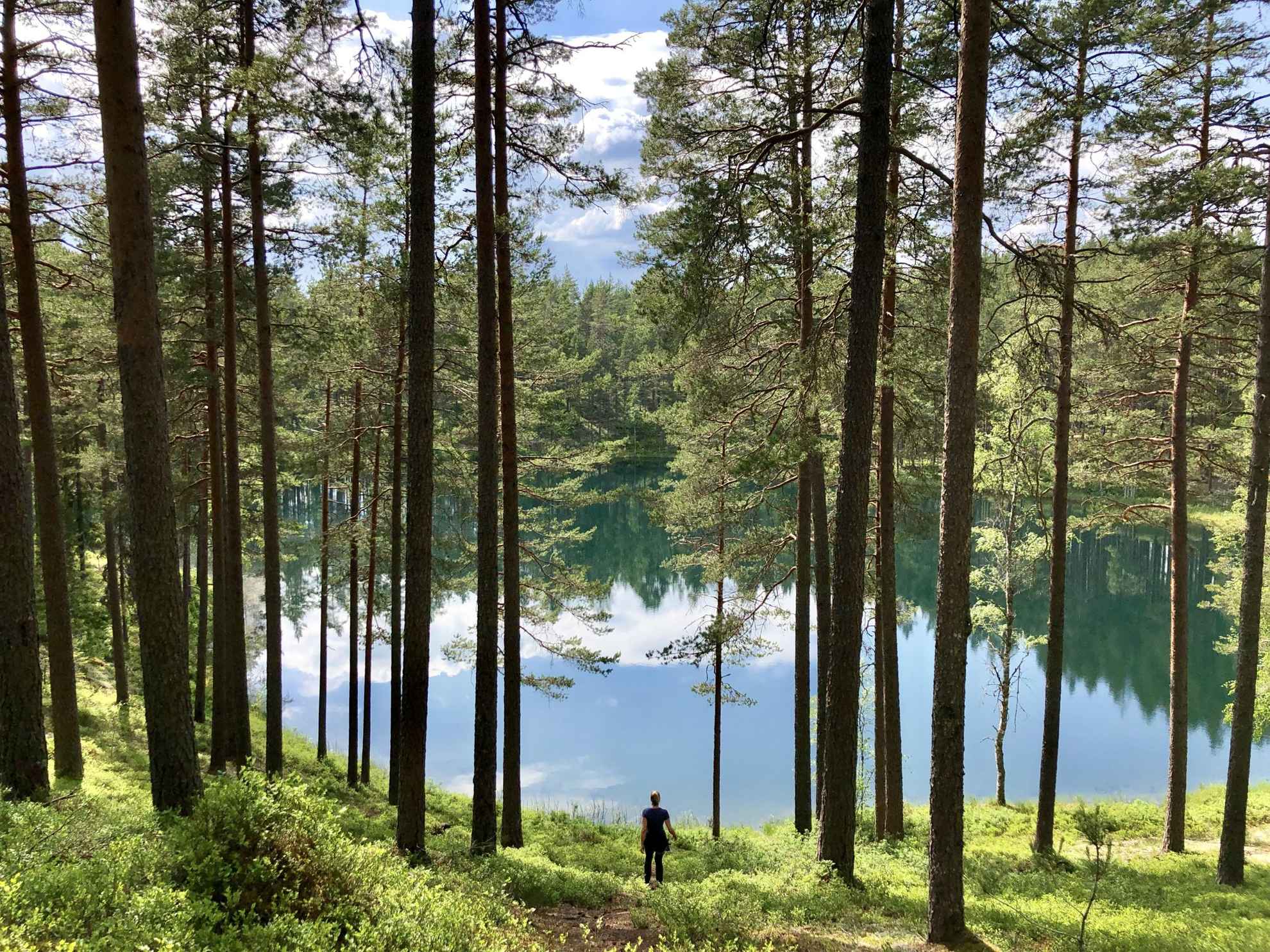 A woman is standing by a tarn during summer. The sky is reflected in the water.