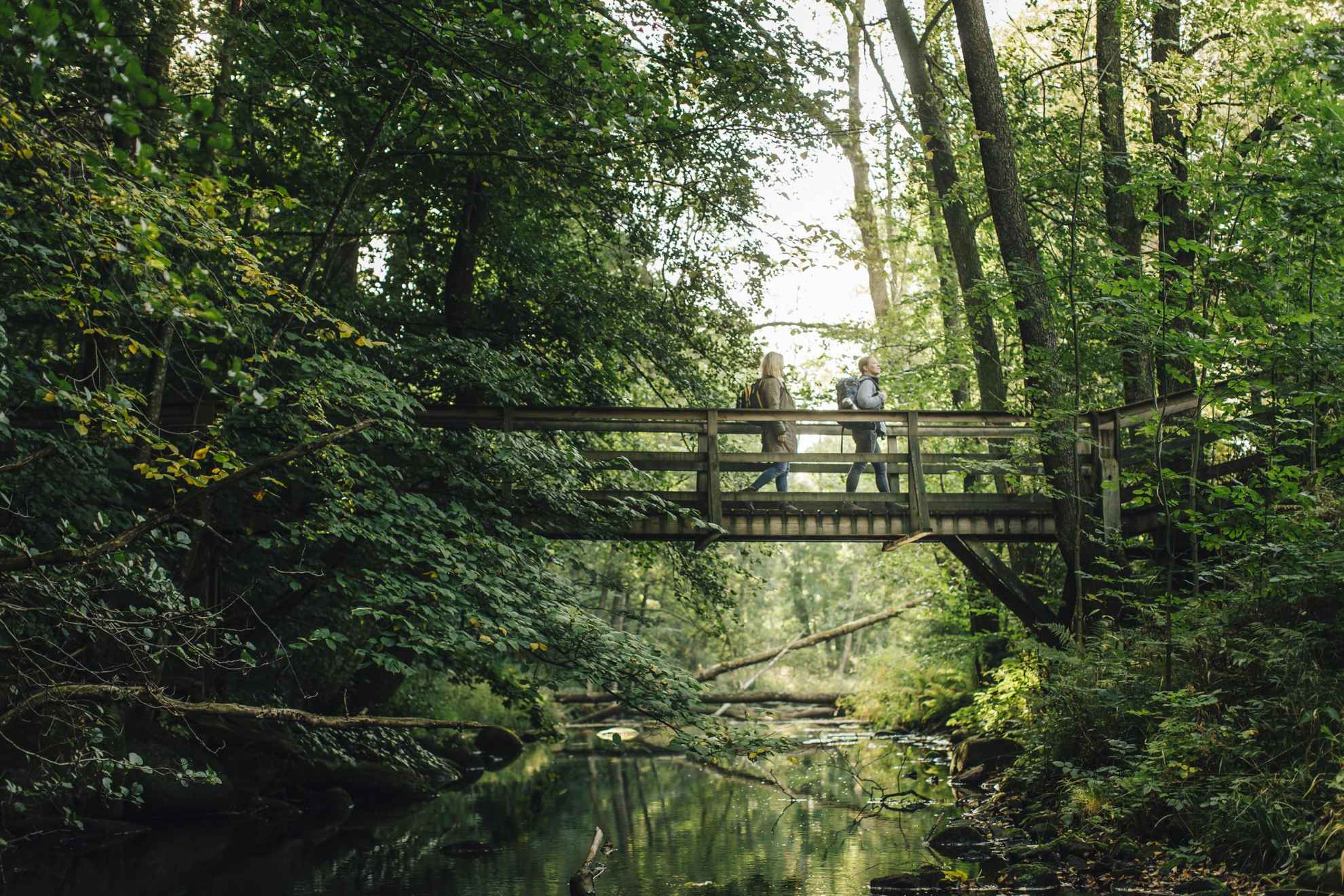 Zwei Personen wandern über eine Holzbrücke im Wald.