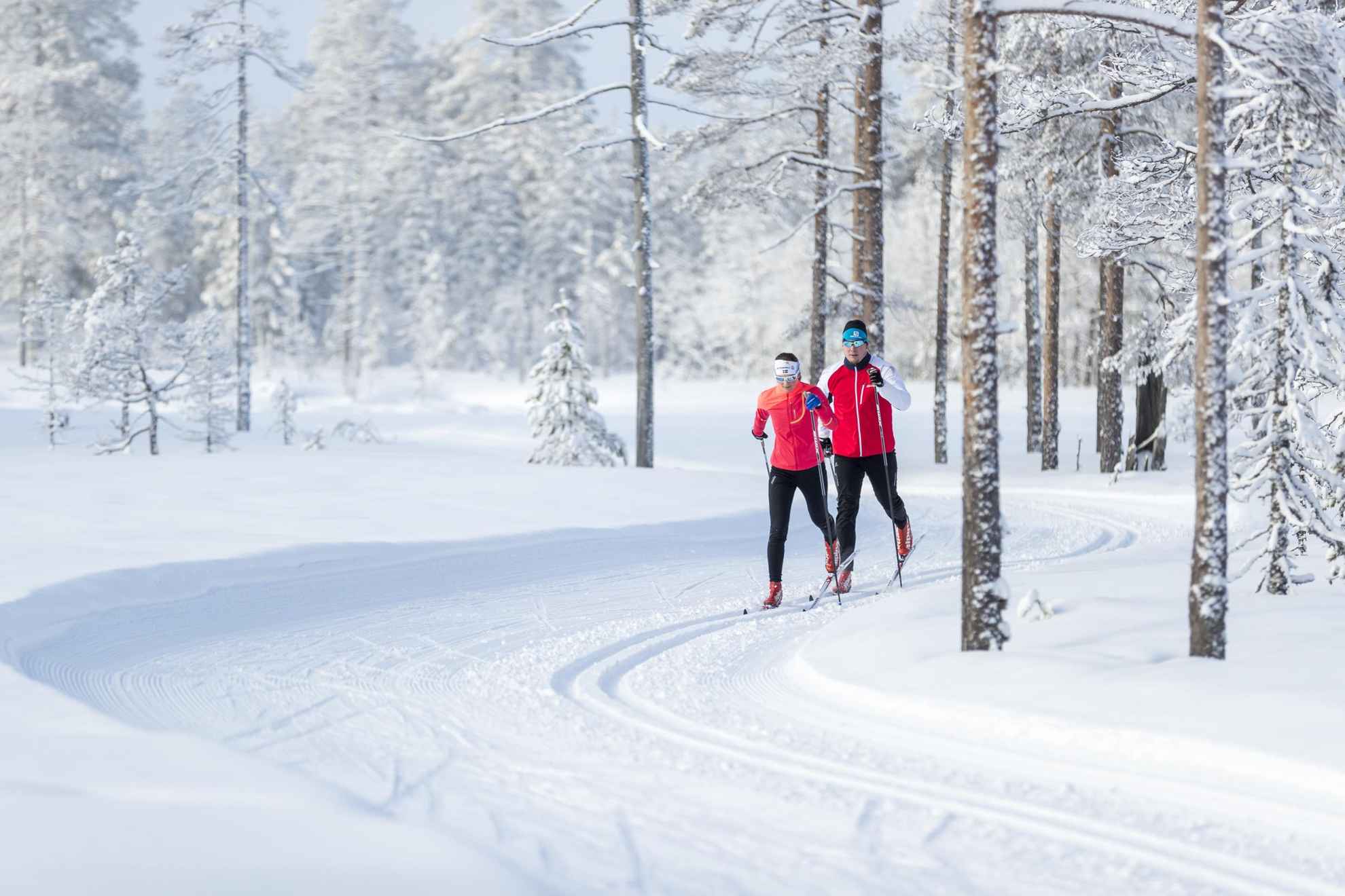 Zwei Personen in roten Jacken laufen Langlauf in einem verschneiten Wald.