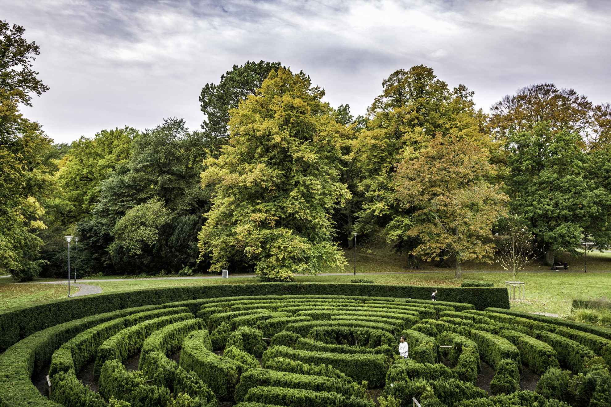 Das Heckenlabyrinth im Slottsskogen Park während des Sommers.