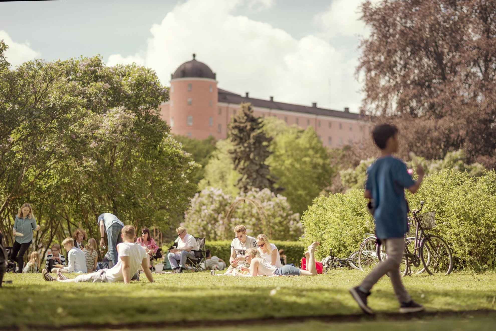 Picknick im Stadtgarten von Uppsala