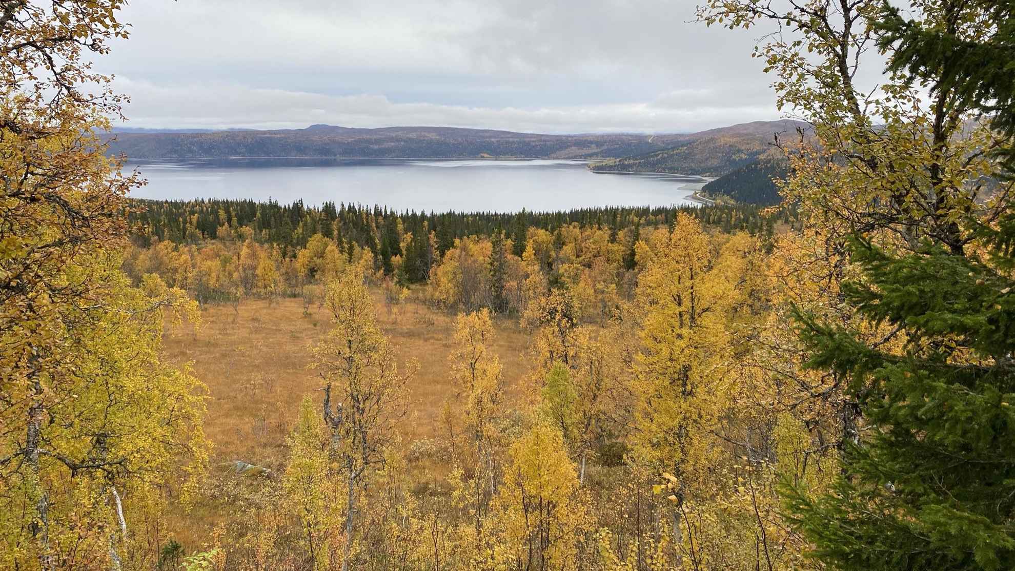 Der See Stora Blåsjön ist von Bergen und Wäldern umgeben. Die Bäume sind in den Farben des Herbstes gefärbt.