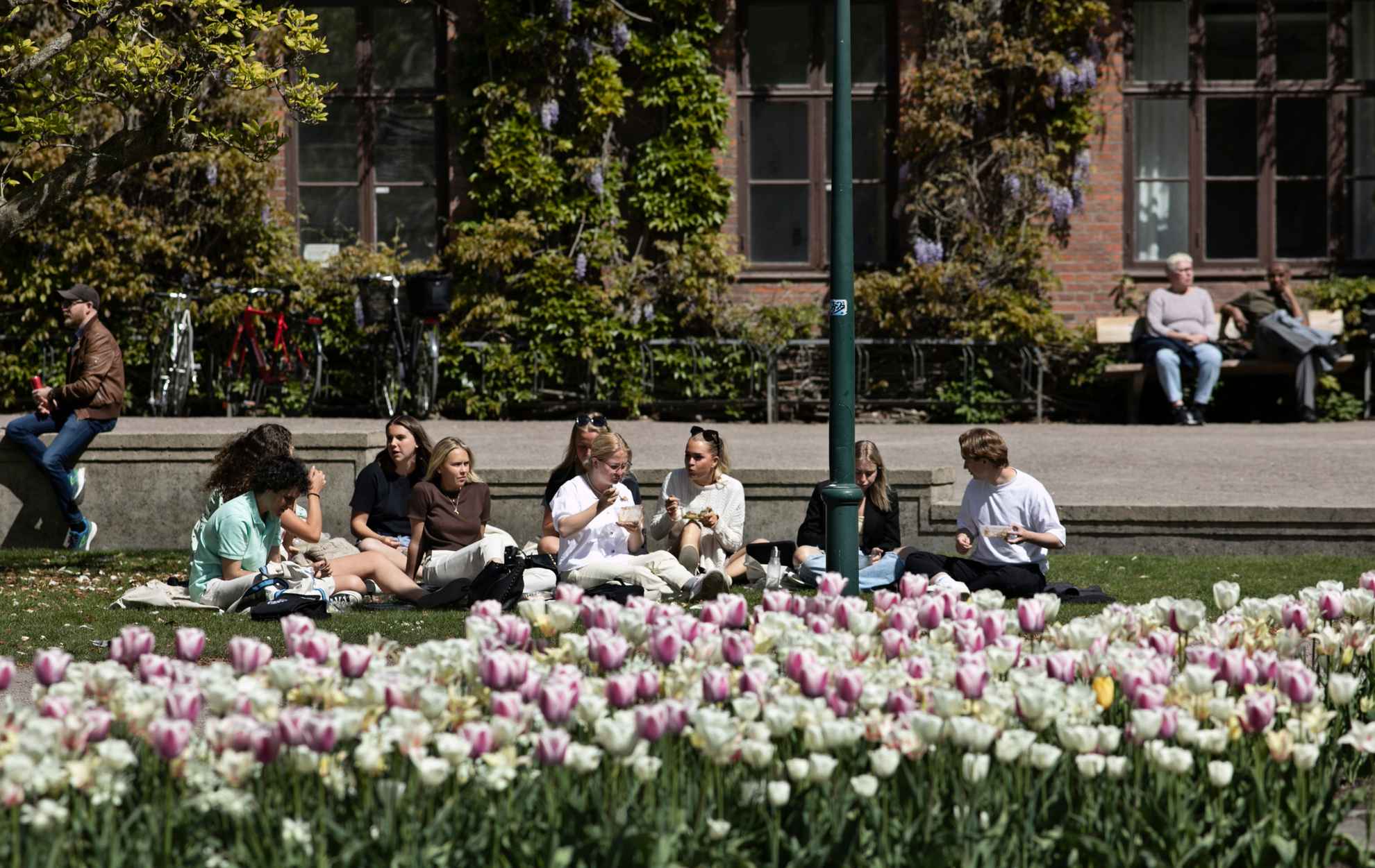Studierende sitzen auf einer Wiese vor einem Gebäude und genießen die Frühlingssonne.