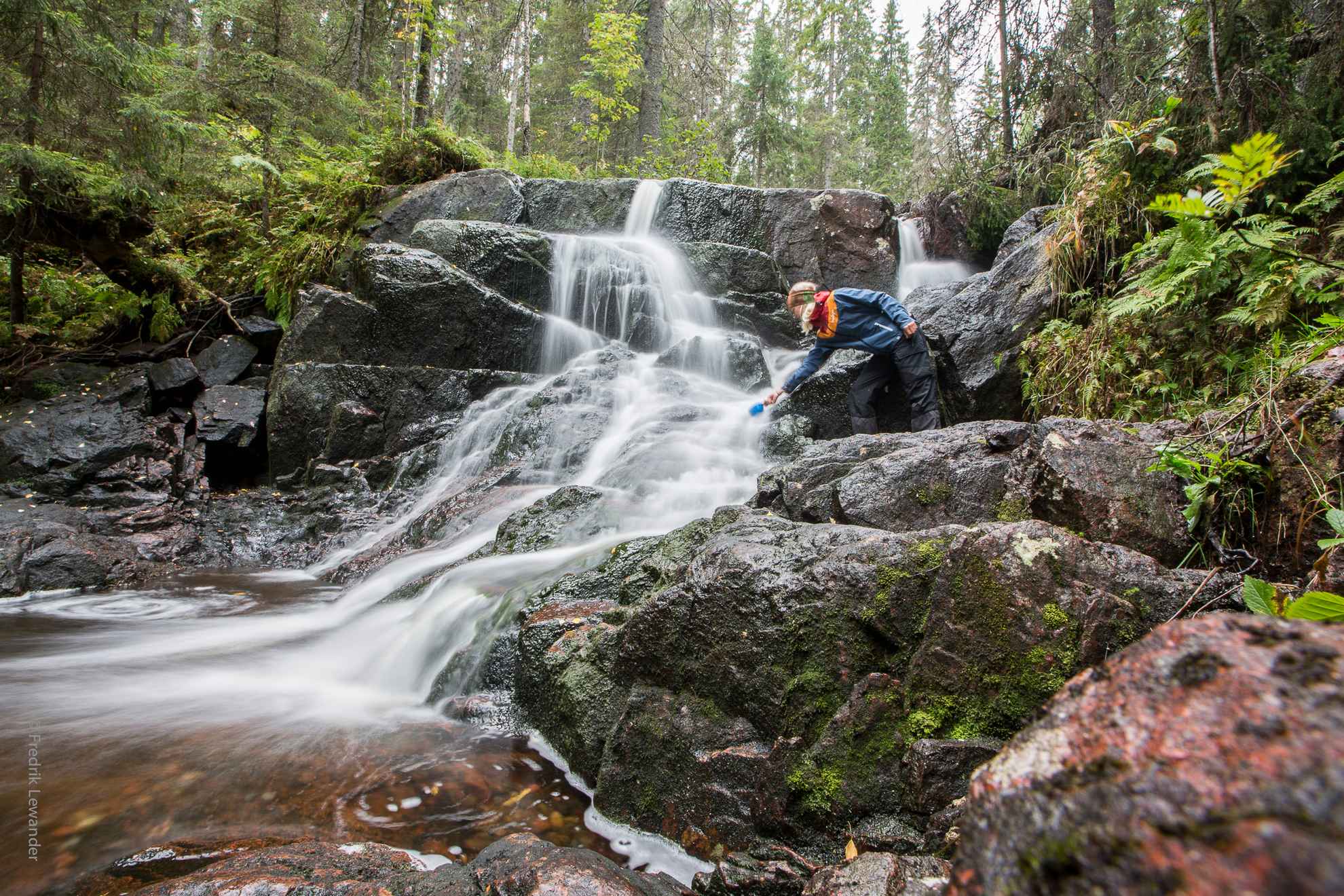 Eine Person versucht, Wasser aus einem Bach in einen üppigen Wald zu schöpfen