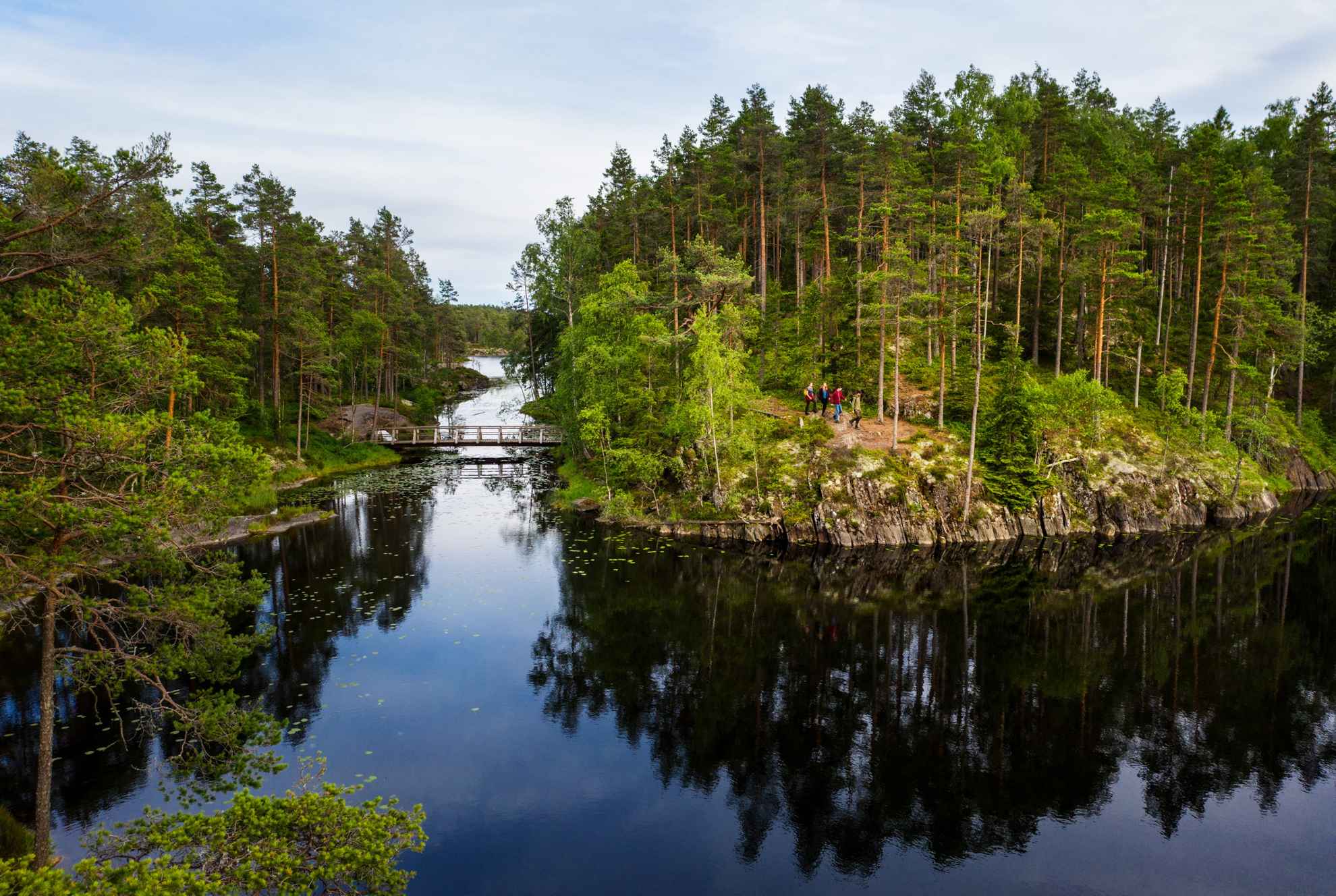 Vier Menschen gehen im Sommer in einem Wald neben einem See spazieren.