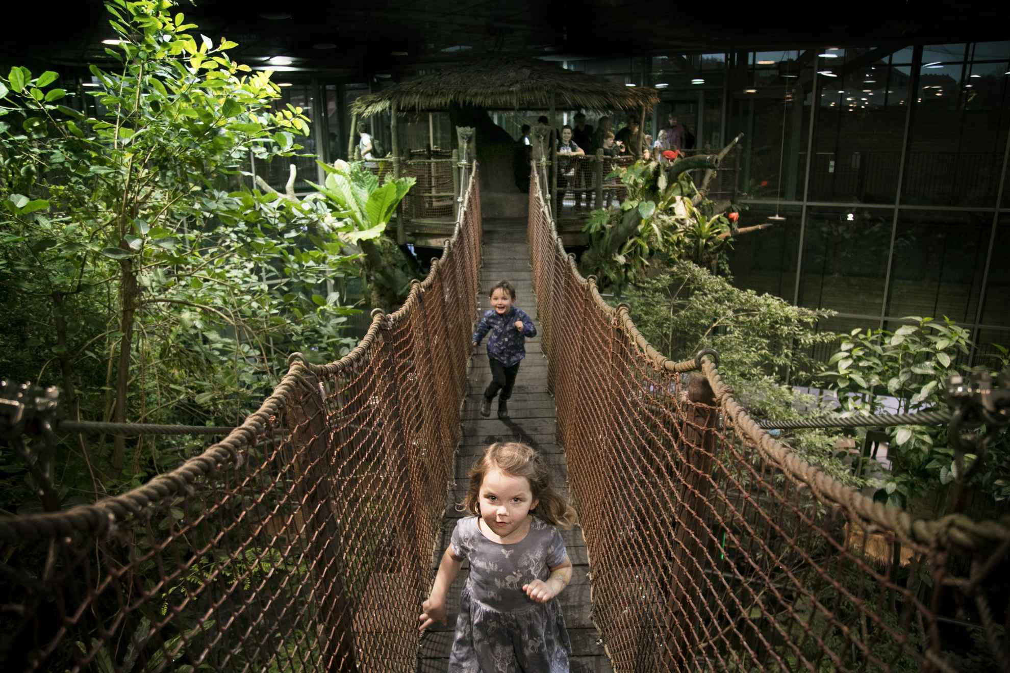 Zwei Kinder laufen über eine Hängebrücke im Wissenschaftszentrum Universeum.