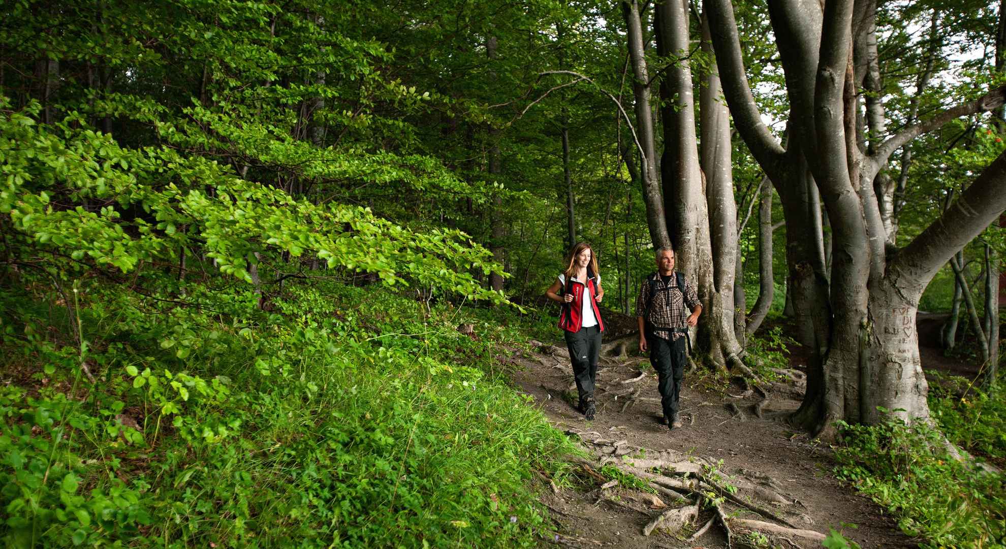 Ein Mann und eine Frau gehen auf einem Waldweg.