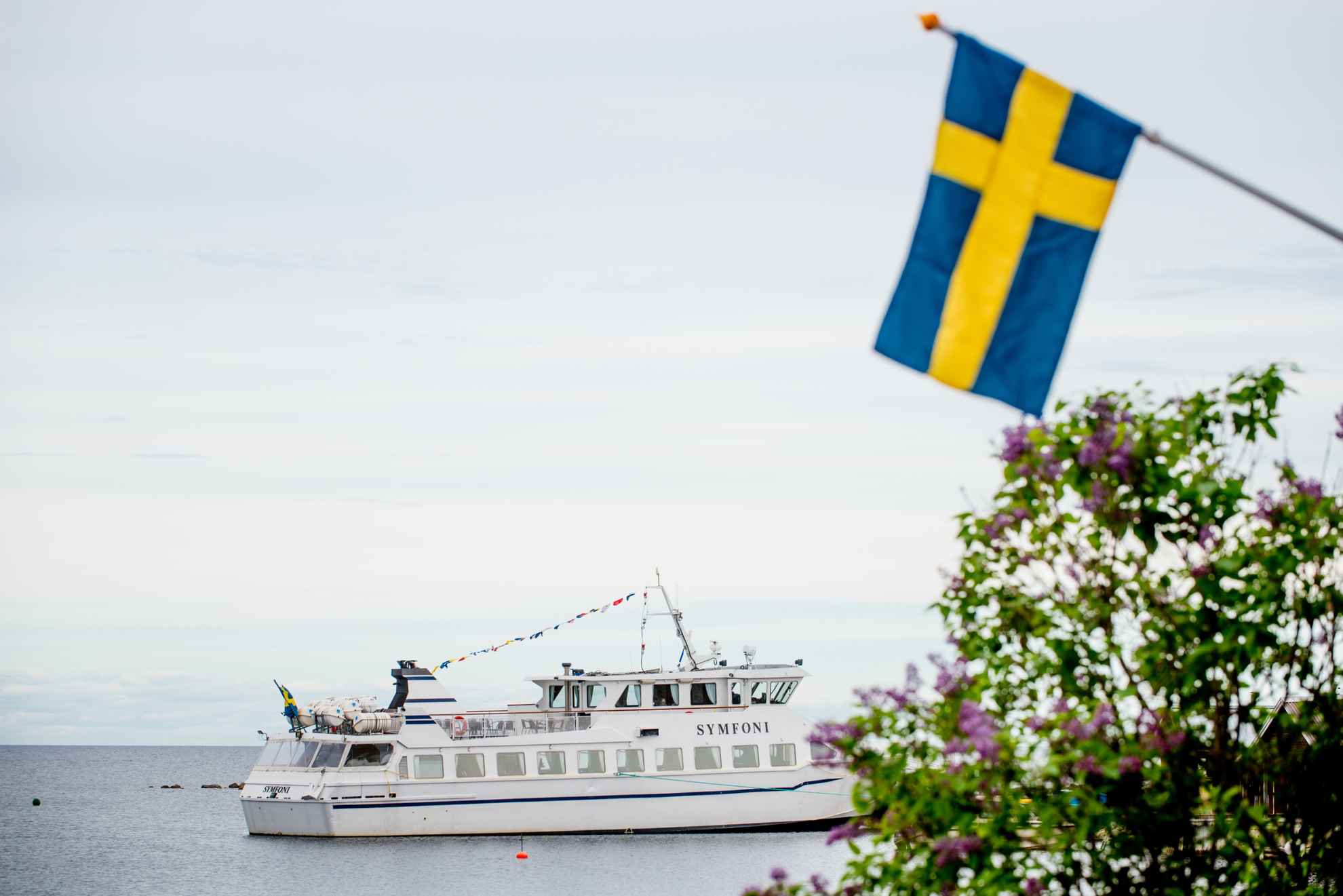 Ein Boot namens Symfoni schwimmt im Wasser, mit einer schwedischen Flagge und lila Blumen im Vordergrund.