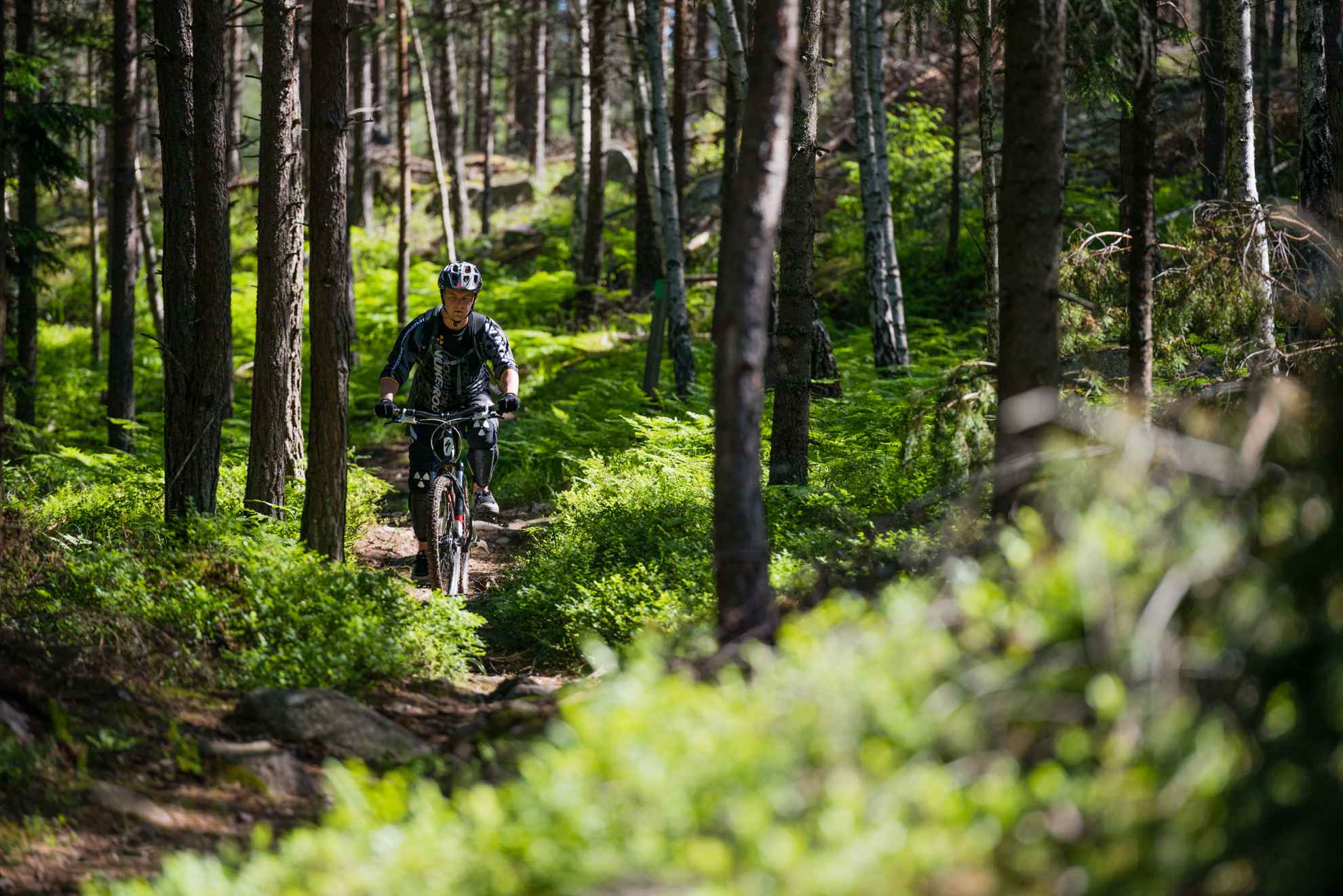 Ein Mann mit Helm fährt auf einem Mountainbike durch einen üppigen Wald.