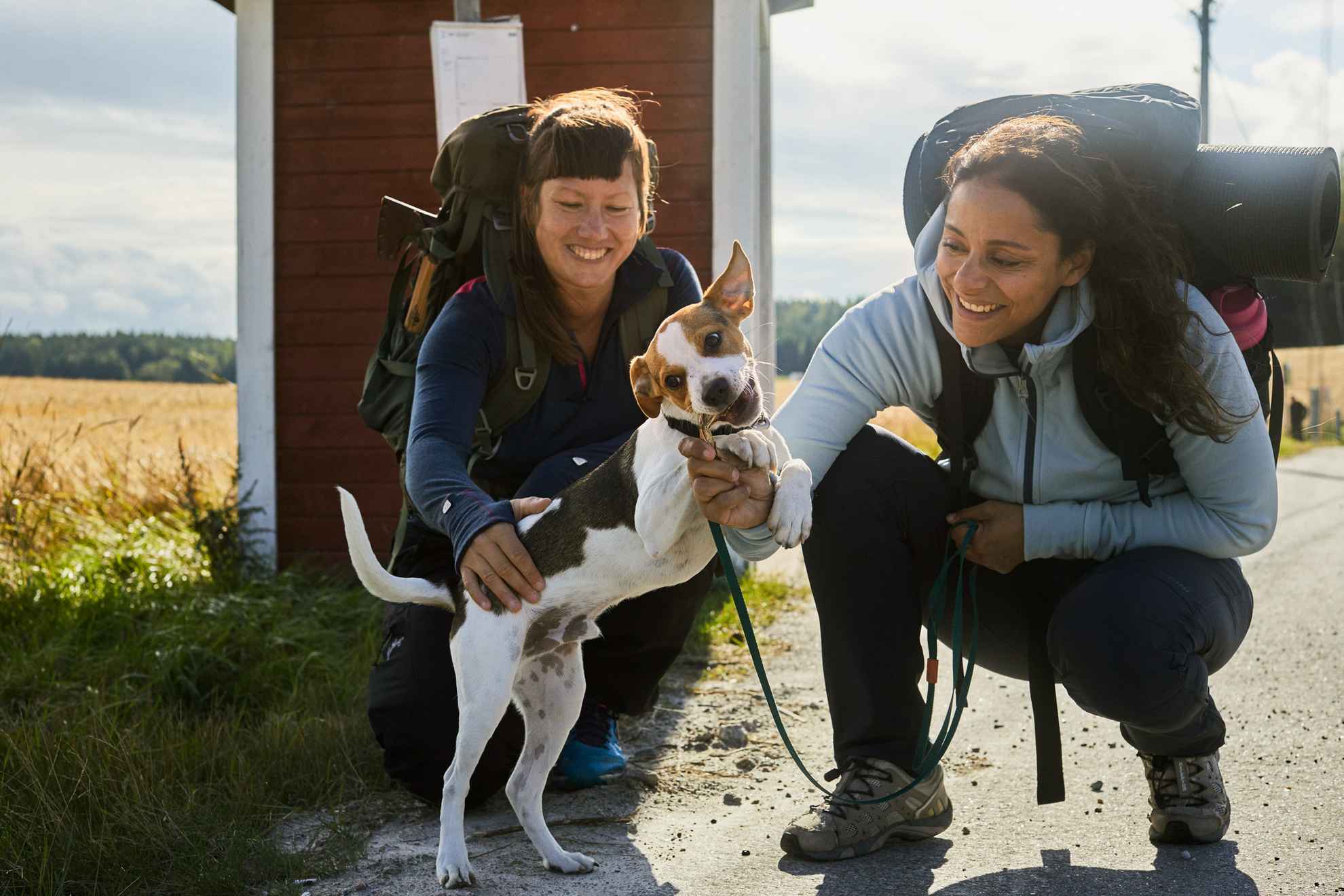 Zwei Personen stehen mit ihrem Hund vor einer Bushaltestelle in Schweden.
