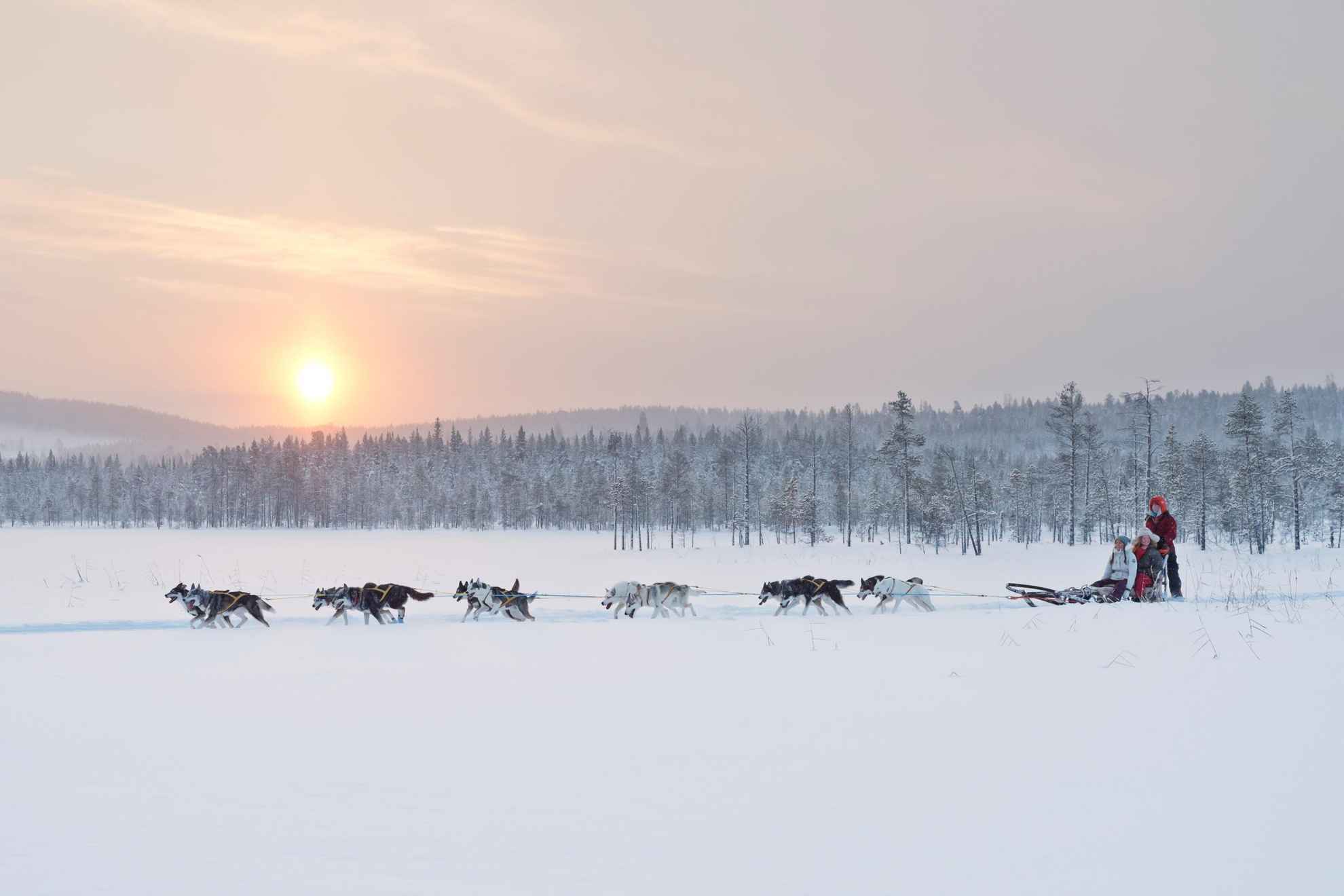 Eine Hundeschlittenfahrt in Jokkmokk, Schwedisch Lappland. 10 Huskies ziehen einen Schlitten mit Menschen über die schwedische Winterlandschaft