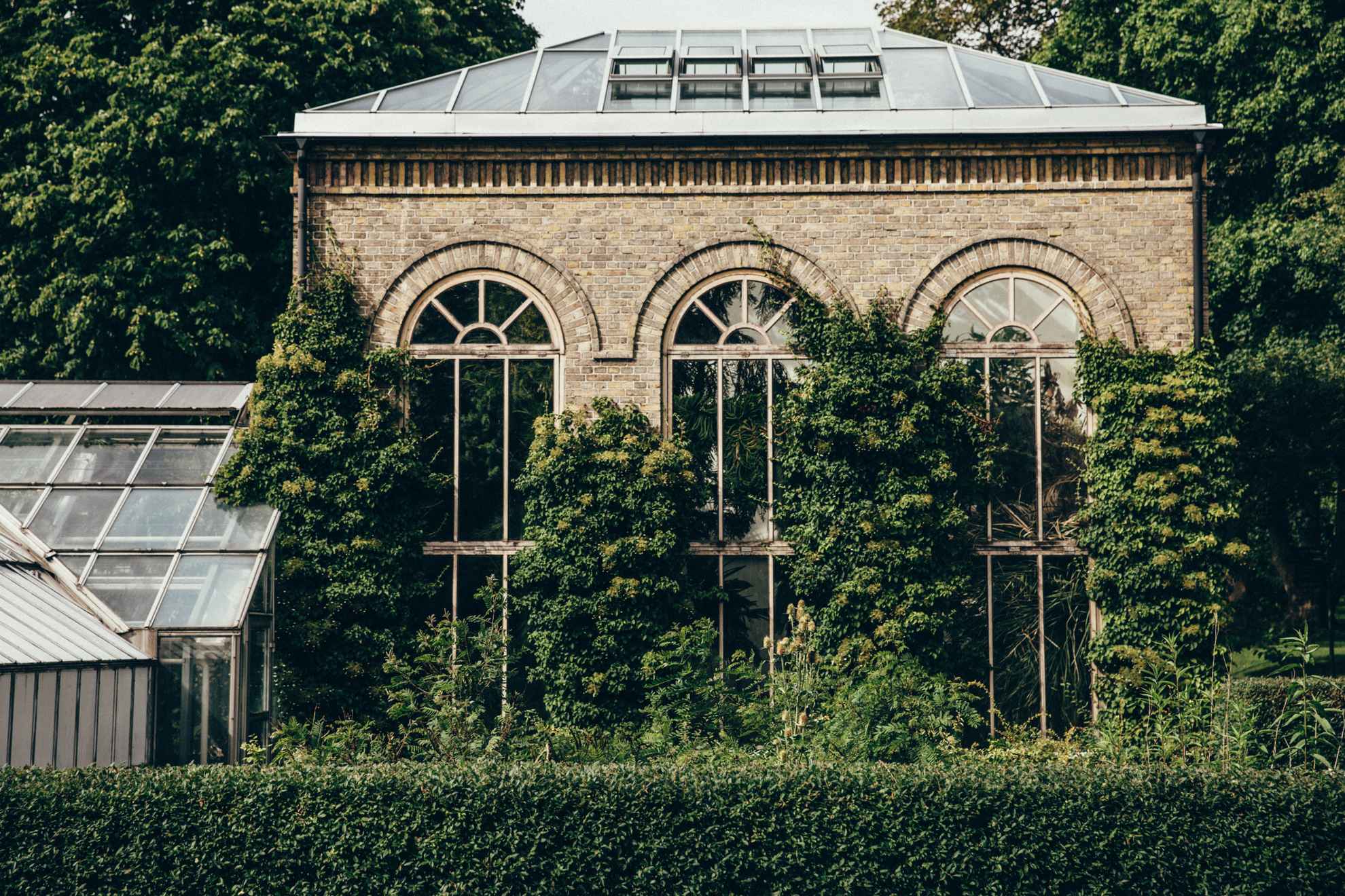 Ein Gartenhaus im botanischen Garten von Lund umwuchert von Kletterpflanzen.
