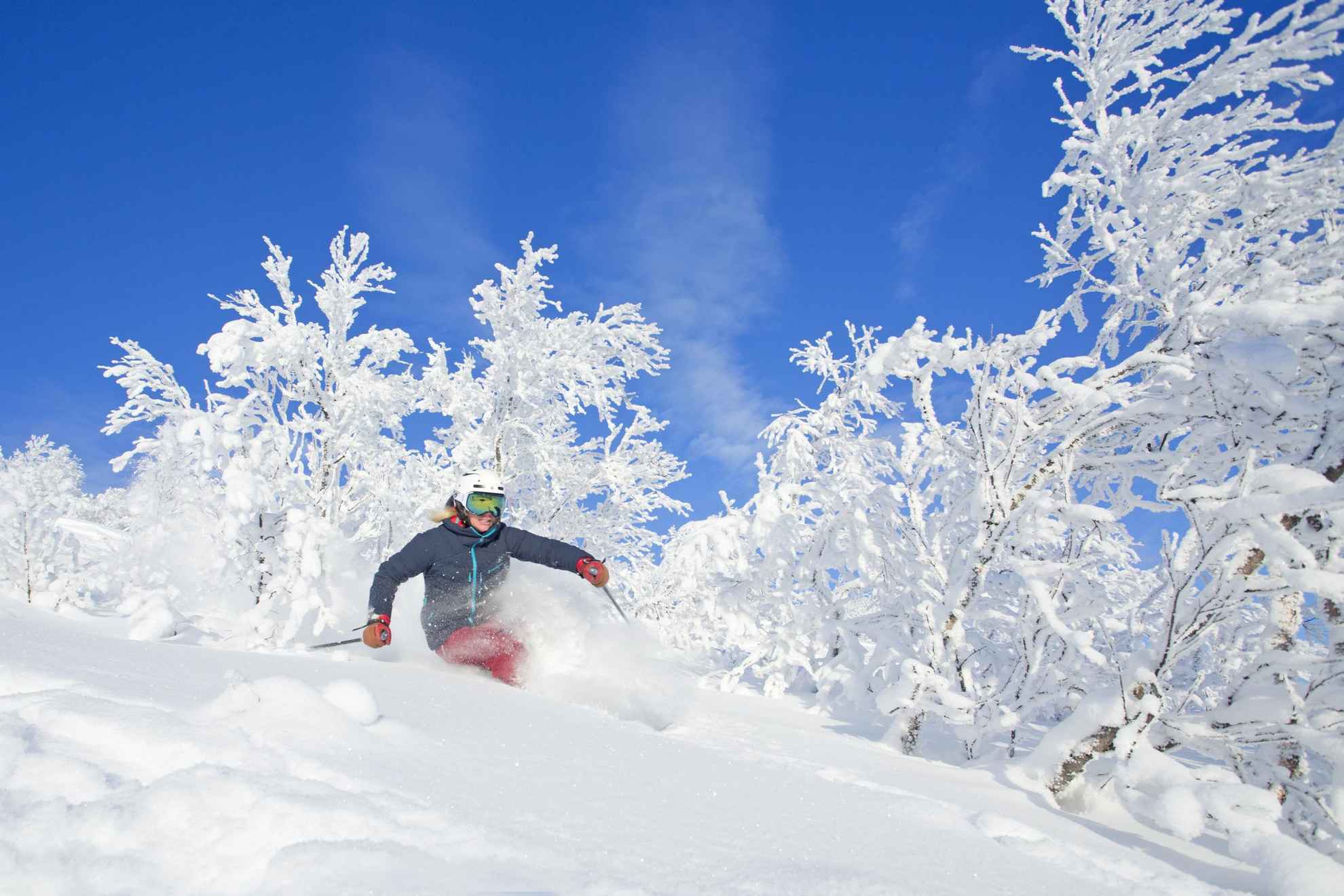 Eine Frau fährt abseits der Pisten Ski. Der Boden und die Bäume sind mit Schnee bedeckt und der Himmel ist blau.