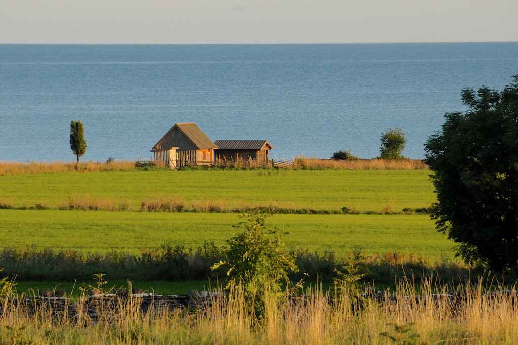 Two small wooden cottage by the sea surrounded by green meadows and greenery.