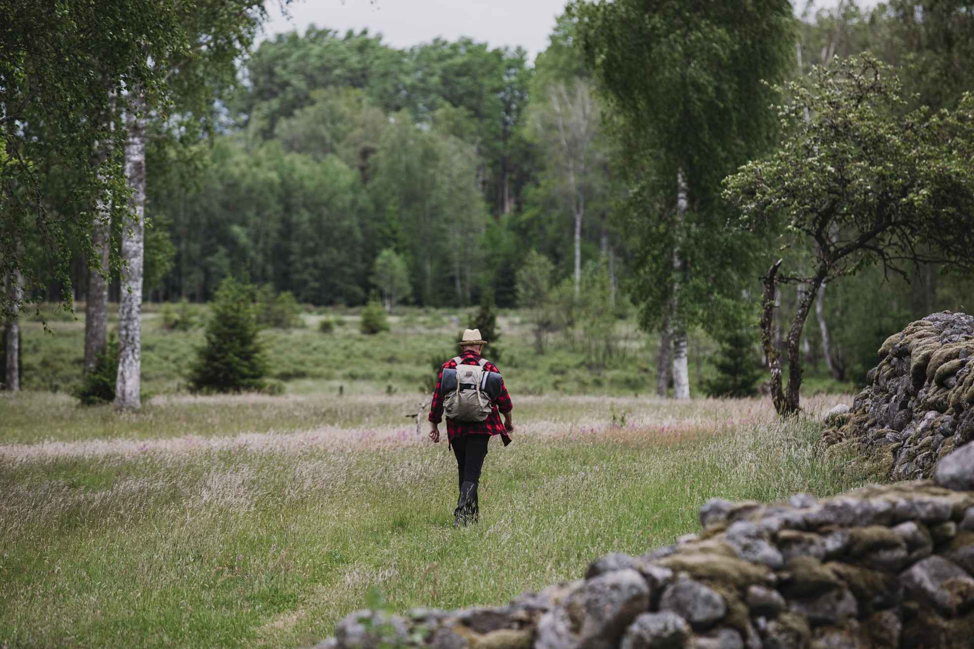 Eine Person wandert entlang einer Steinmauer im hohen Gras.