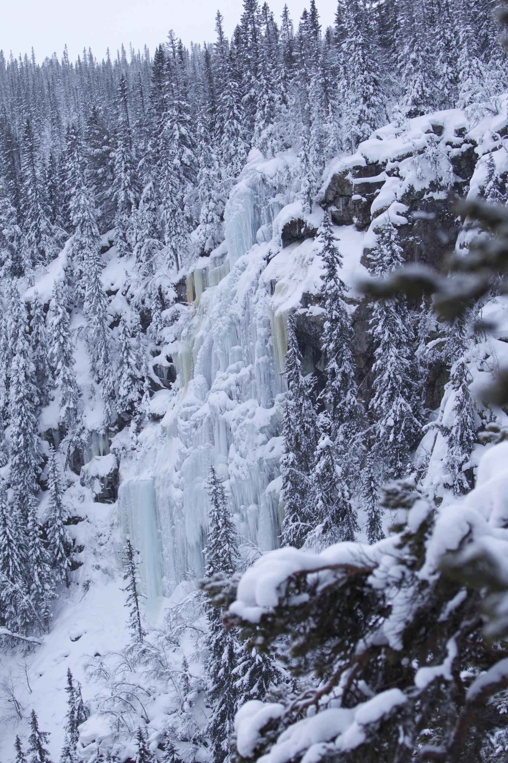 Schneebedeckte Tannen an einem Hang umrahmen einen mehrstufigen gefrorenenen Wasserfall mit seinen Eiszapfen