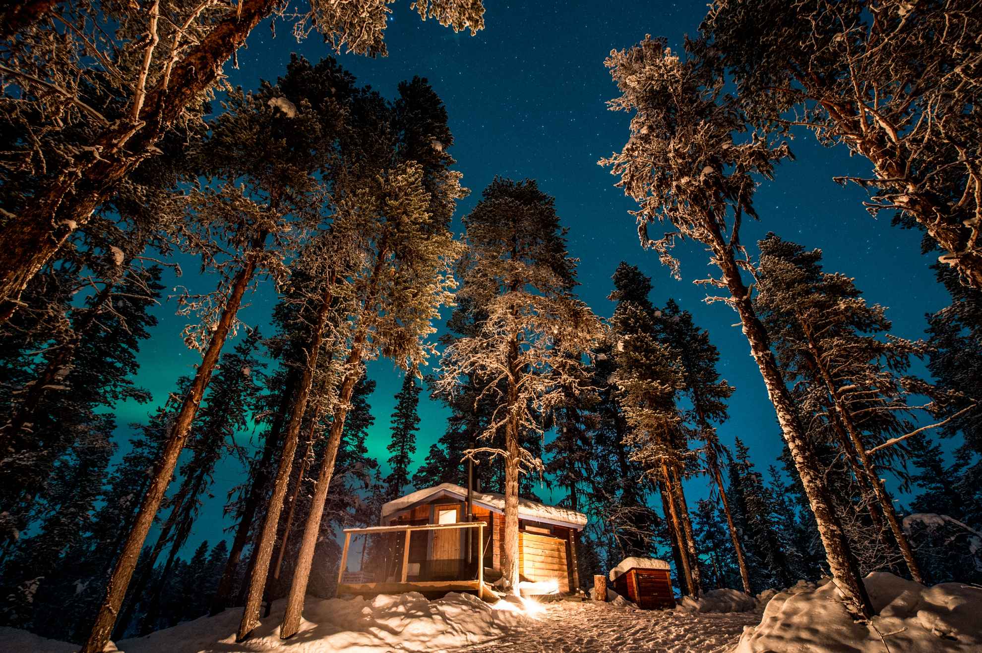Die Bäume ragen in den sternenklaren Himmel. Eine Winterhütte mit einem vom Schnee bedeckten Dach steht im Vordergrund.