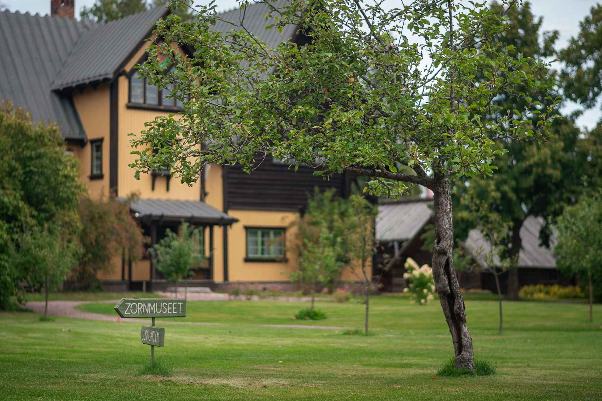 Im Vordergrund steht ein Baum und ein Holzschild auf dem Zornmuseet steht. Im Hintergrund ist das gelbe Haus der Zorn Familie zu sehen, welches heute ein Museum ist.