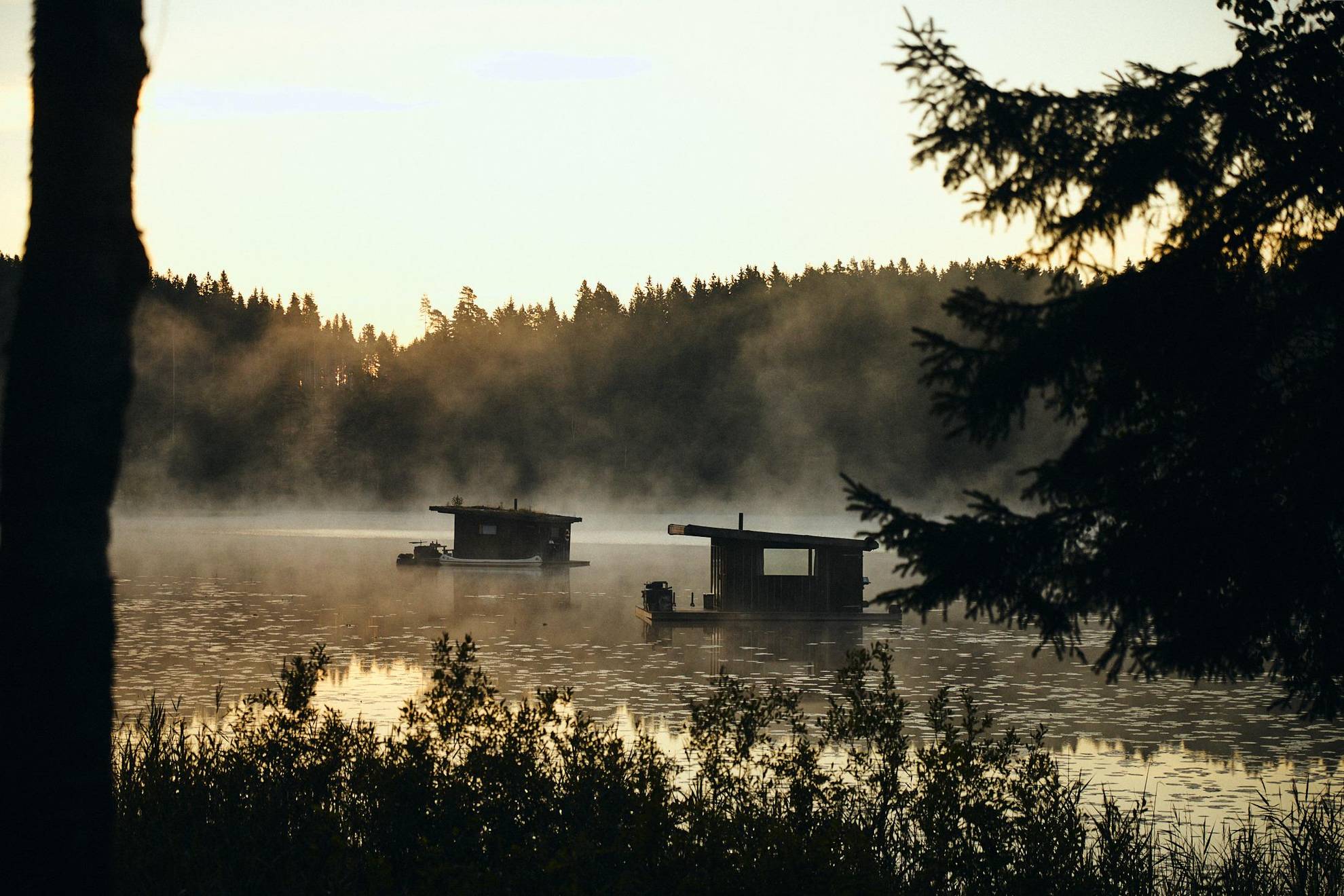 Bootshäuser treiben inmitten eines Waldsees, welcher umgeben von Nadelbäumen. Der aufsteigender Nebel sorgt für eine mystische Atmosphäre.