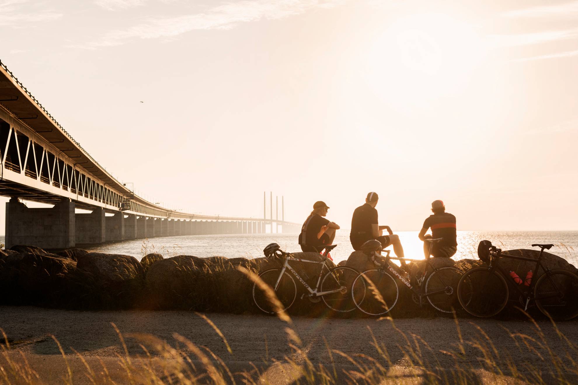 Drei Menschen sitzen am Meer und blicken auf die Öresundbrücke. Neben ihnen sind Fahrräder geparkt,