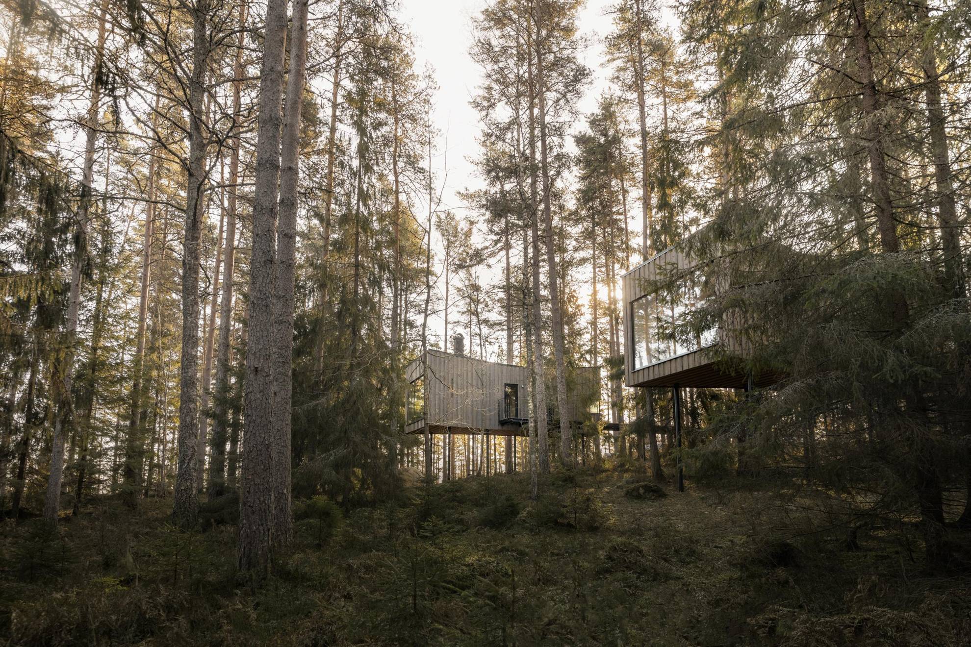 Zwei Holzsuiten im schwedischen Wald gelegen.
