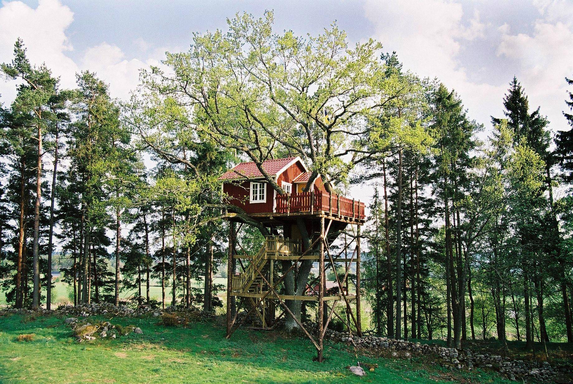 Ein schwedenrotes Baumhaus auf einem großen Baum gebaut, durch welches die Baumkrone durch die Terrasse ragt.