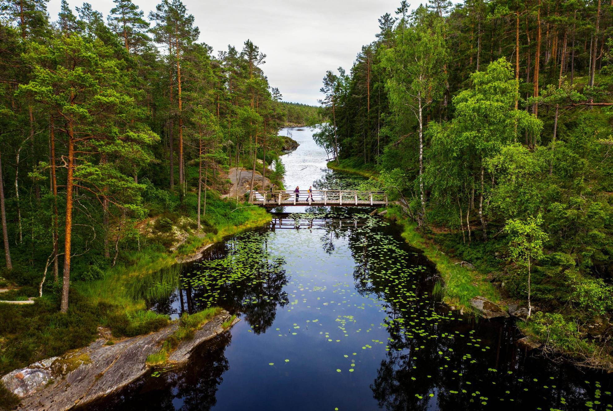 Drei Personen gehen auf einer kleinen Holzbrücke über einen See. Auf beiden Seiten der Brücke sind Wälder.