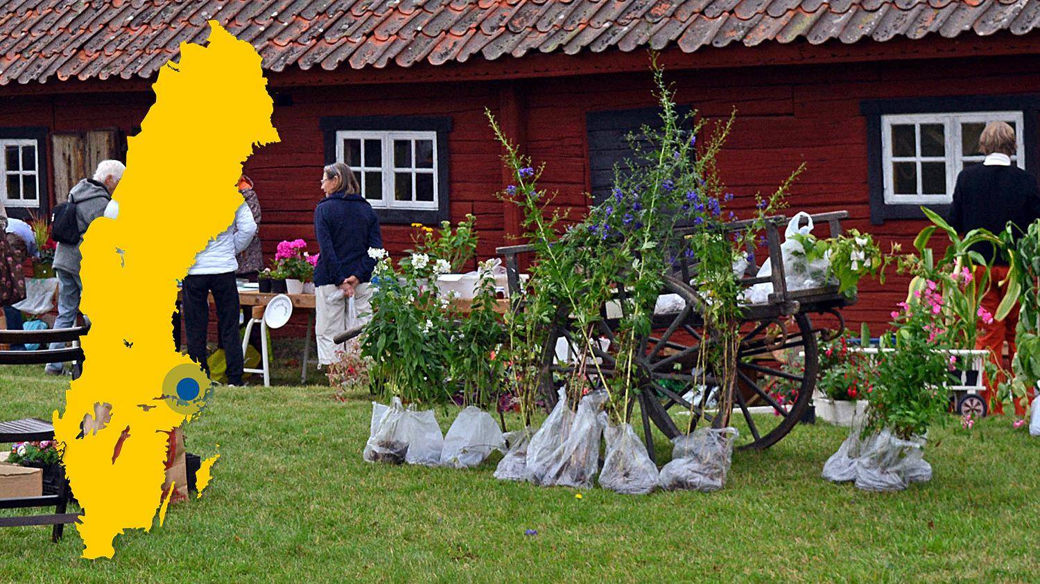 Blumen auf einem grünen Rasen vor einem roten Holzhaus. Eine gelbe Karte von Schweden mit einer Markierung, die den Standort von Björksta anzeigt.