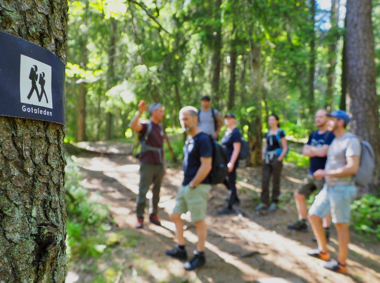 Eine Gruppe von Menschen steht auf einem Wanderweg in einem Wald.