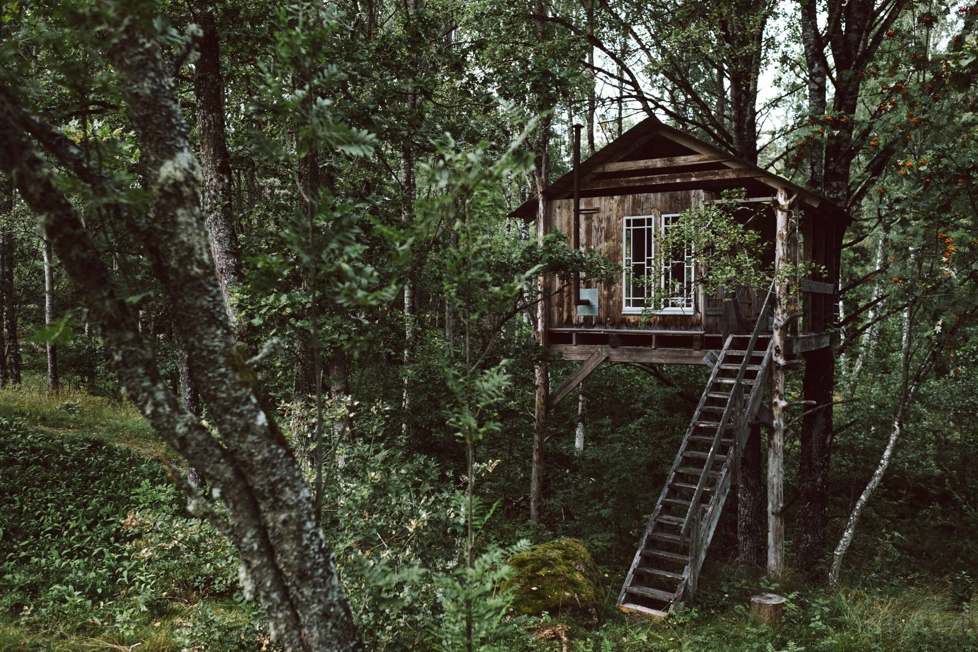 Ein Baumhaus umgeben vom schwedischen Mischwald.