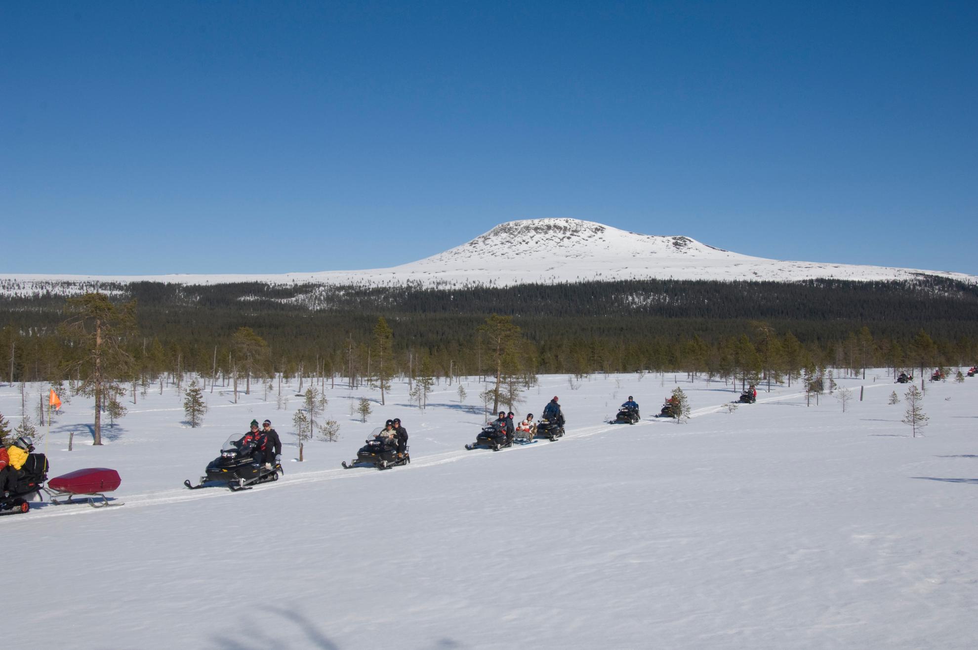 Eine Gruppe an Menschen fähr mit Schneemobilen durch die schwedische Natur.