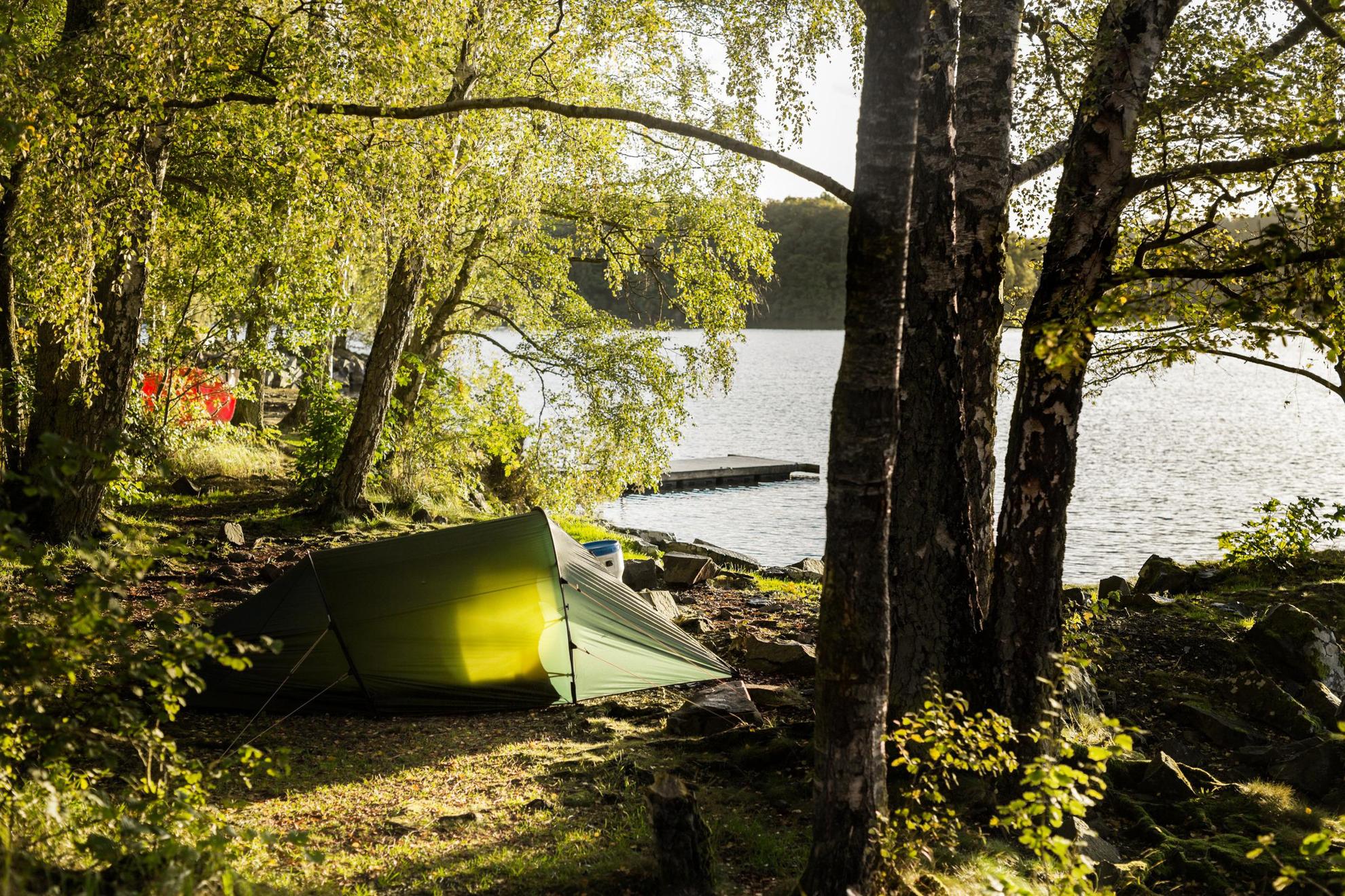 Ein grünes Zwei-Mann-Zelt und sonenndurchflutete Birken am Ufer eines Sees.